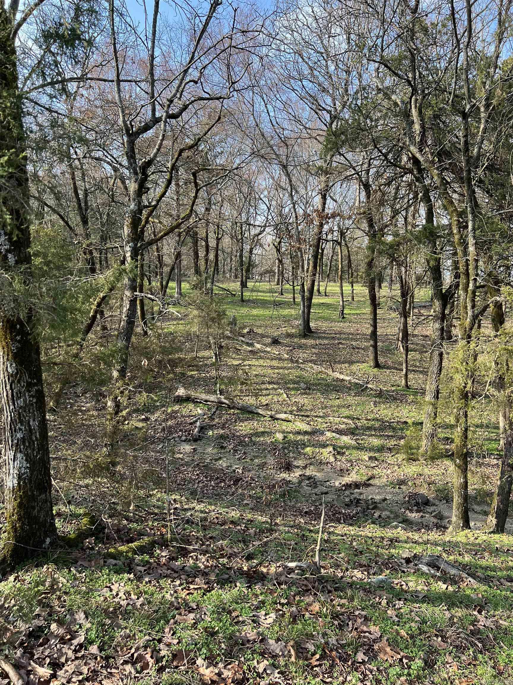 TBD. #2  Polk Road 85  Mena, AR