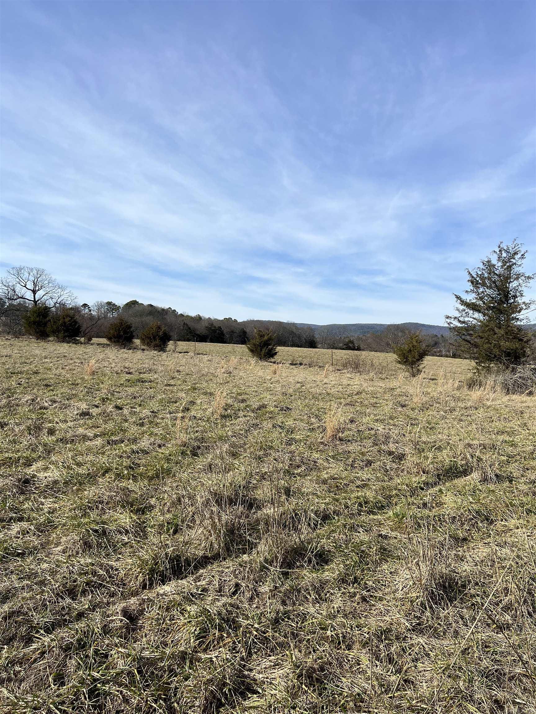 TBD. #3  Polk Road 85  Mena, AR
