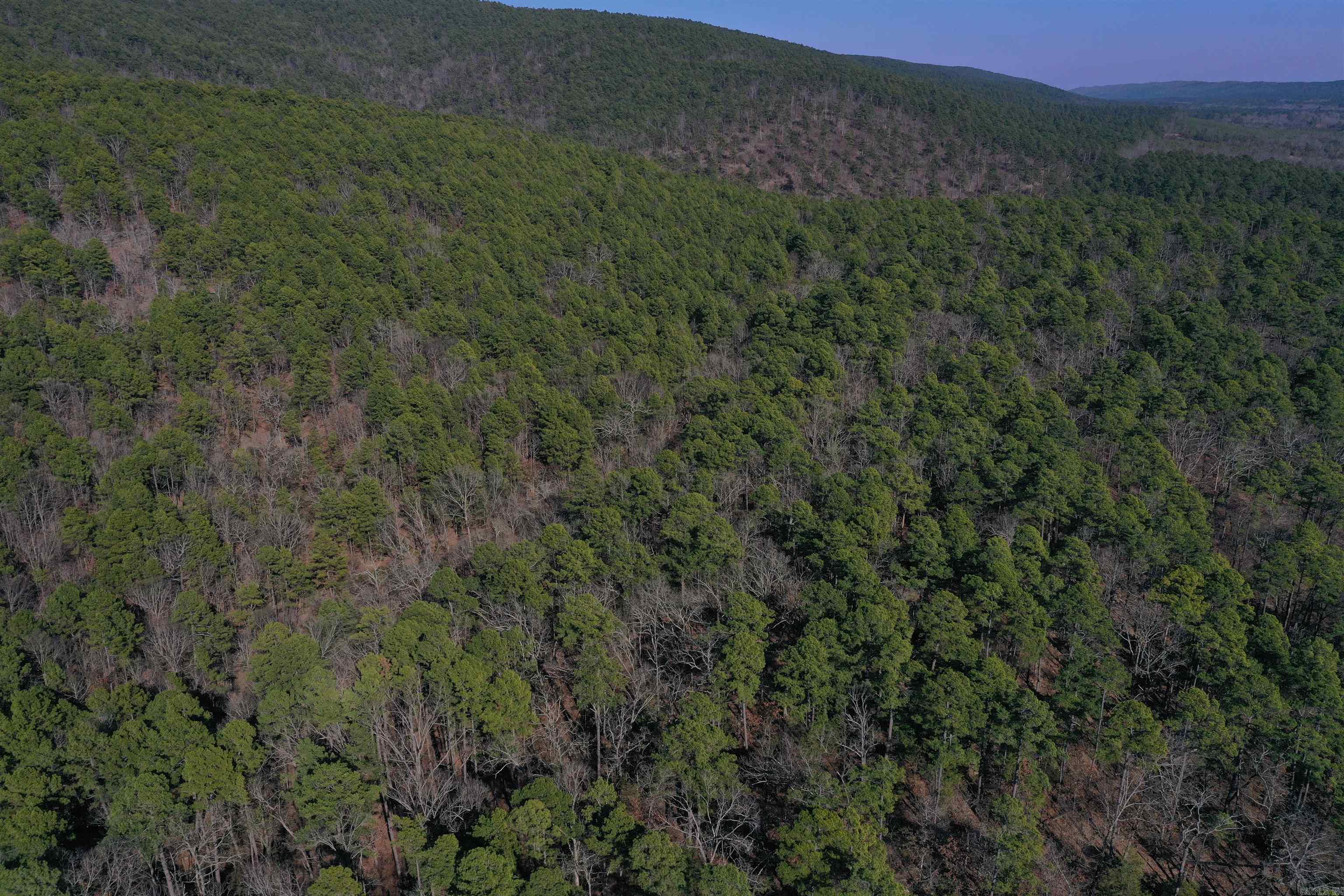0000 HWY 248 E  Waldron, AR