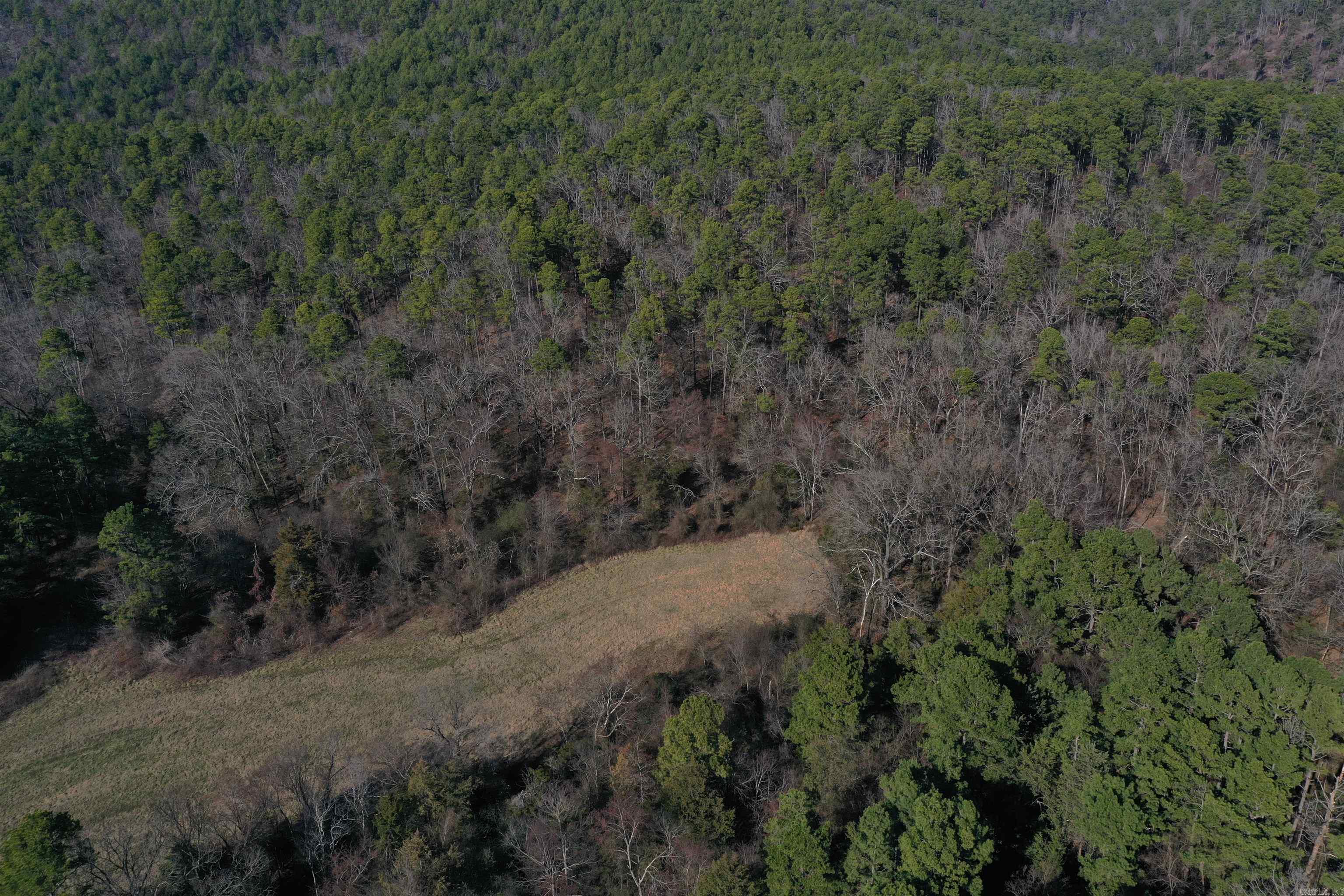 0000 HWY 248 E  Waldron, AR