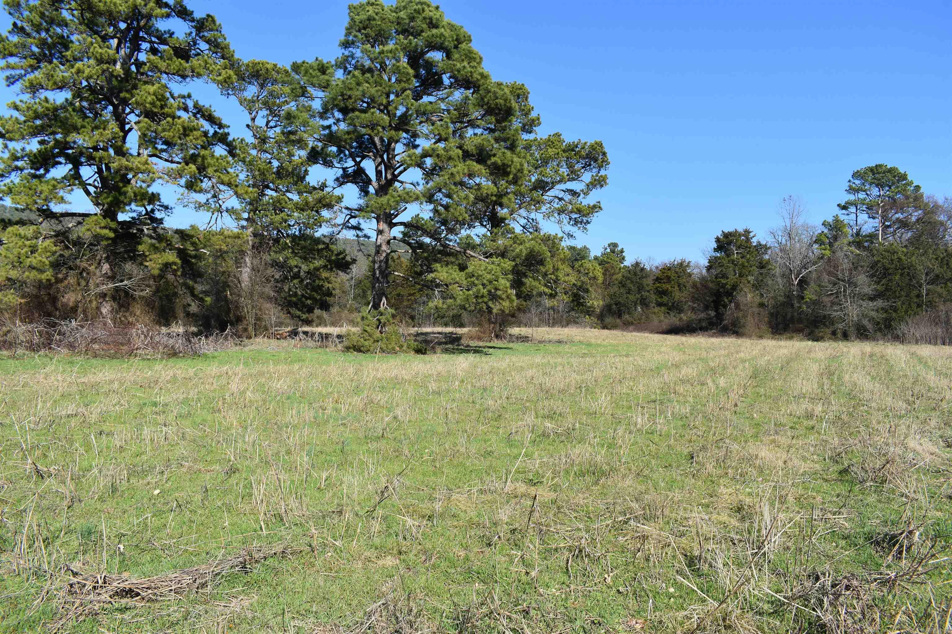 0000 HWY 248 E  Waldron, AR