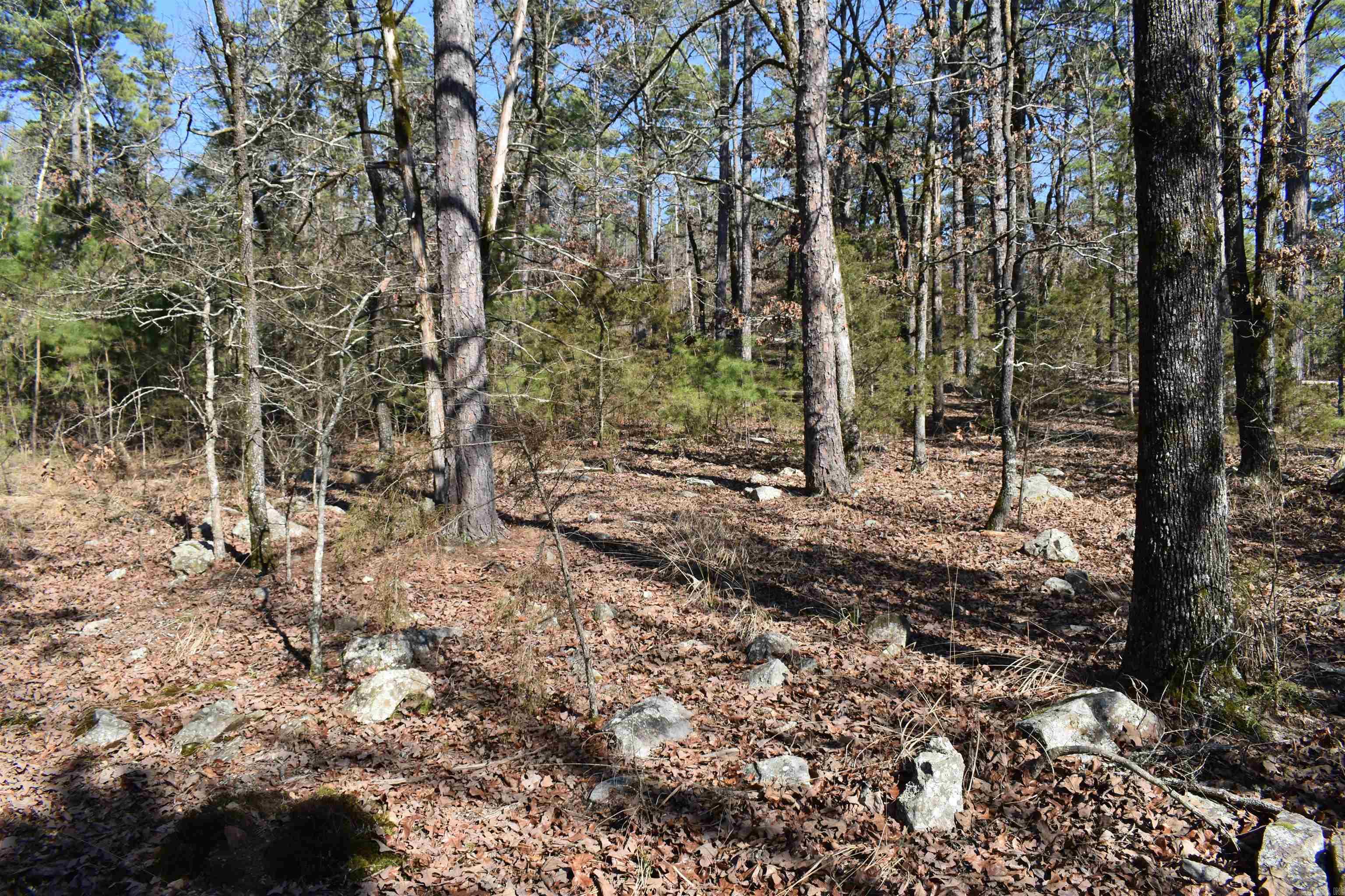 0000 HWY 248 E  Waldron, AR