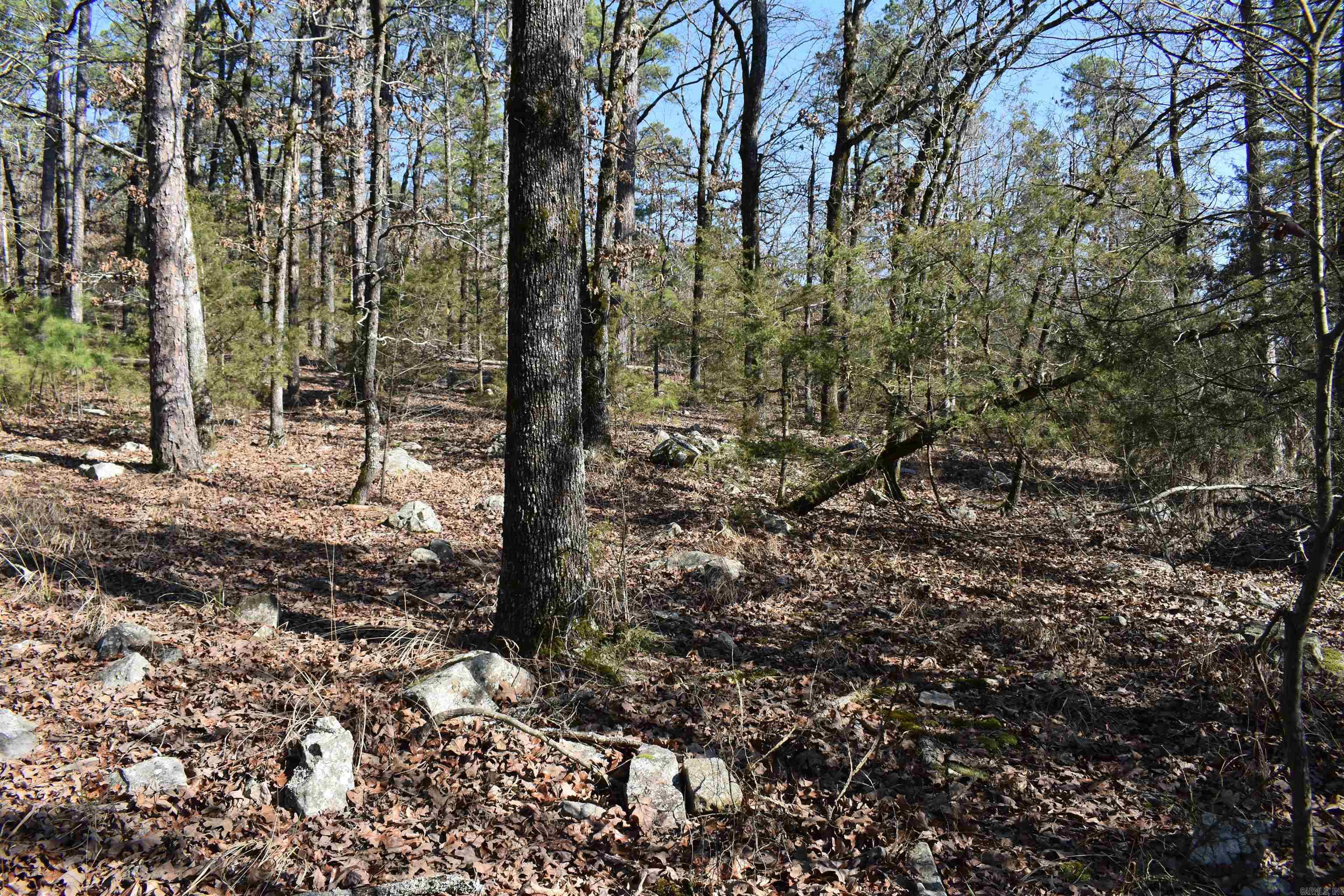0000 HWY 248 E  Waldron, AR
