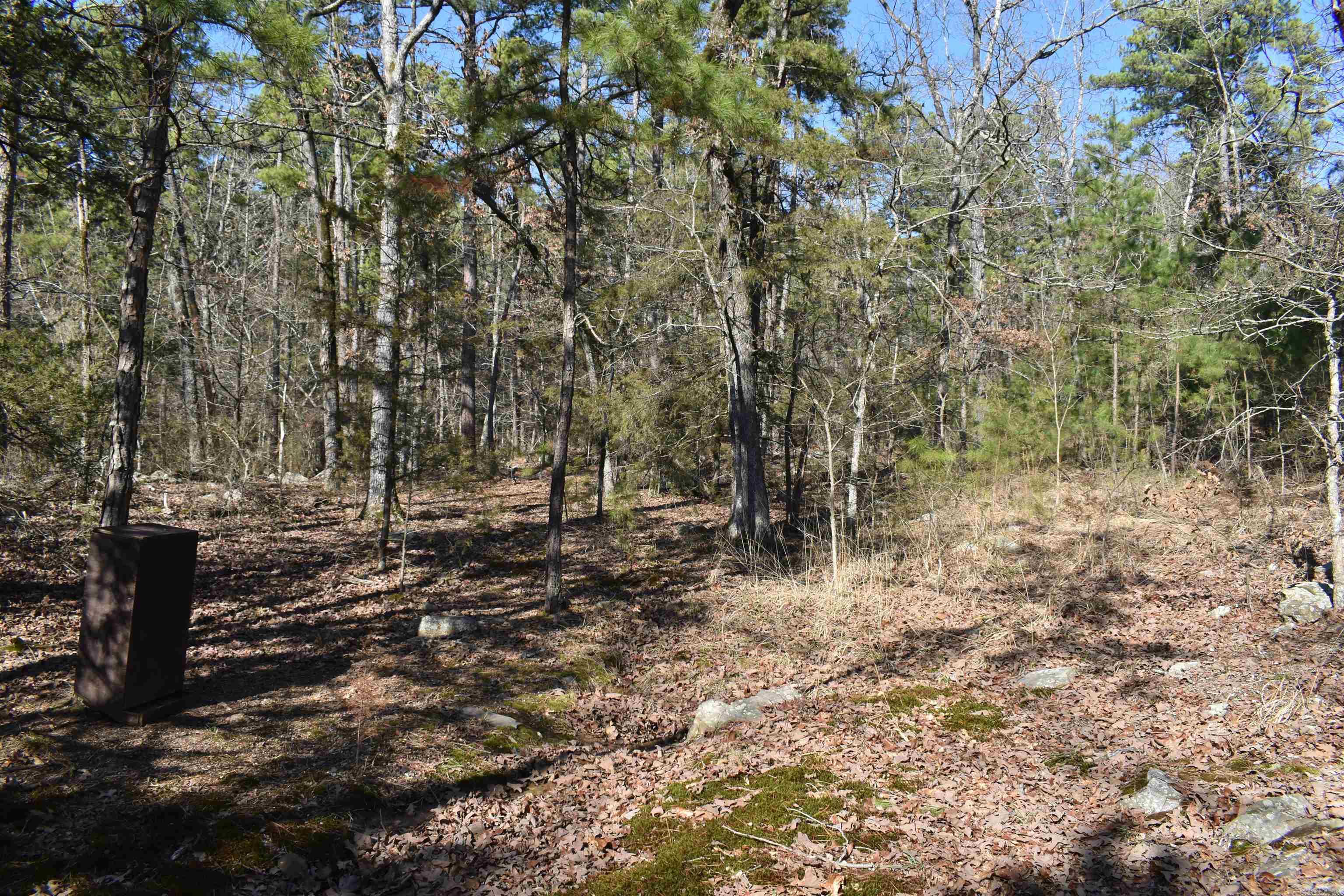 0000 HWY 248 E  Waldron, AR