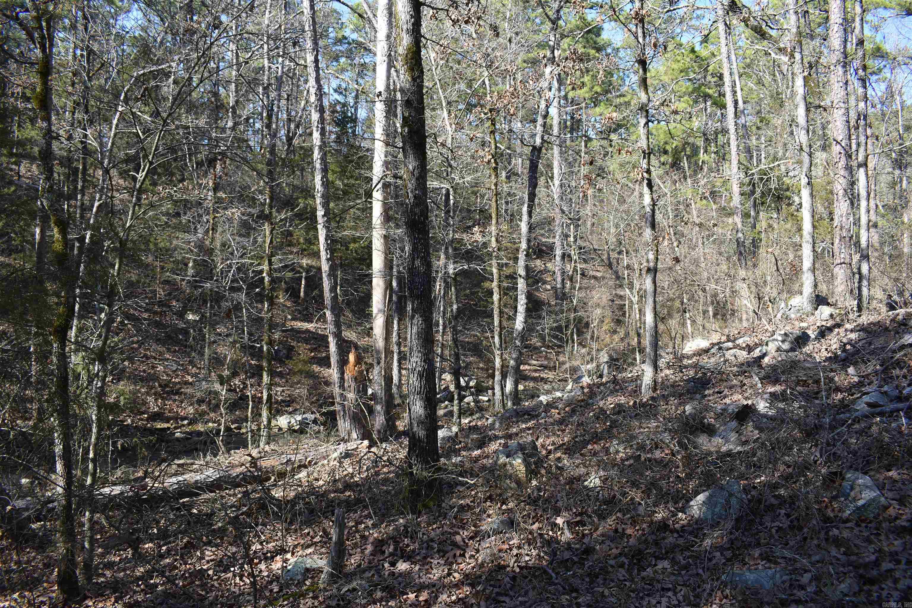 0000 HWY 248 E  Waldron, AR