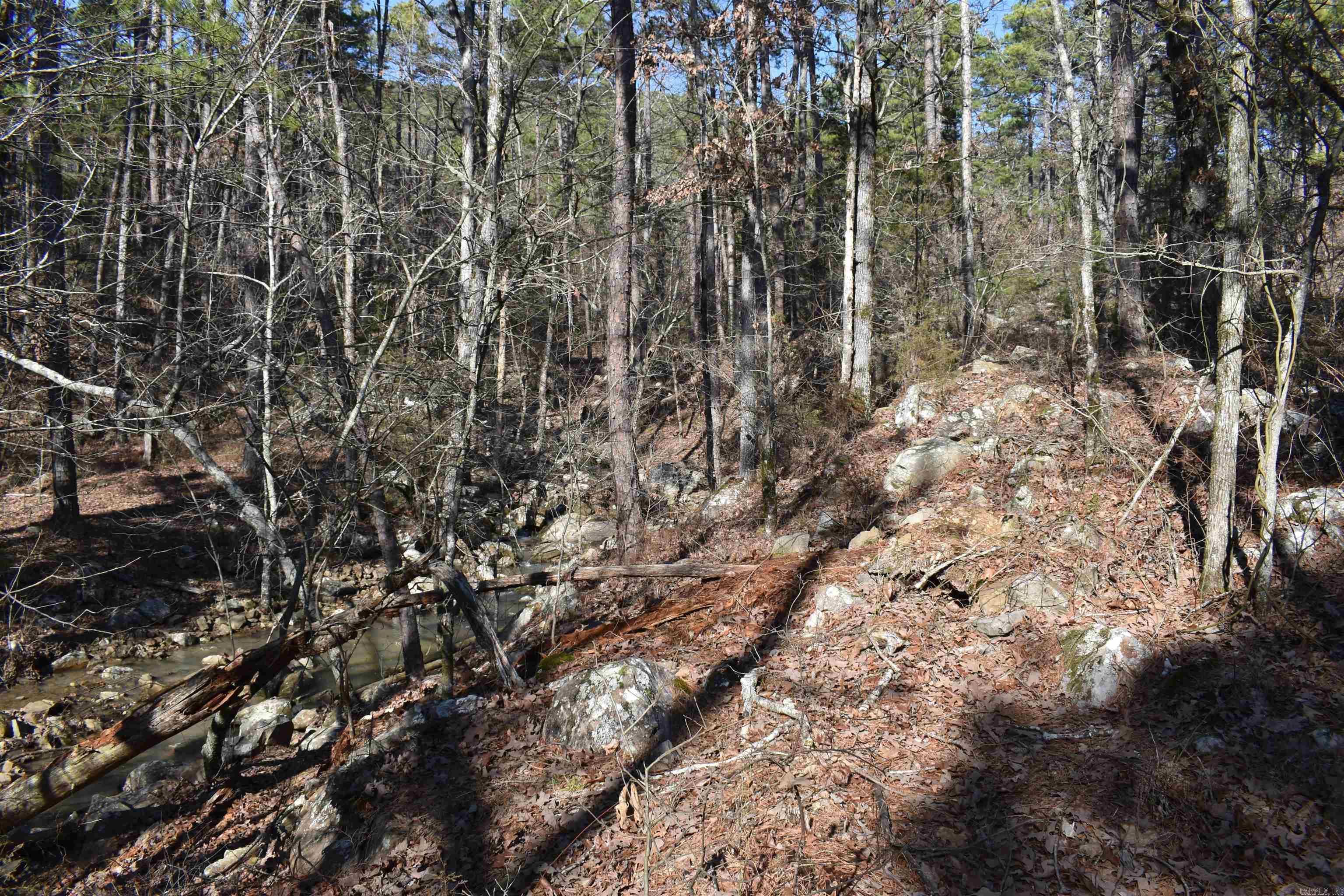 0000 HWY 248 E  Waldron, AR