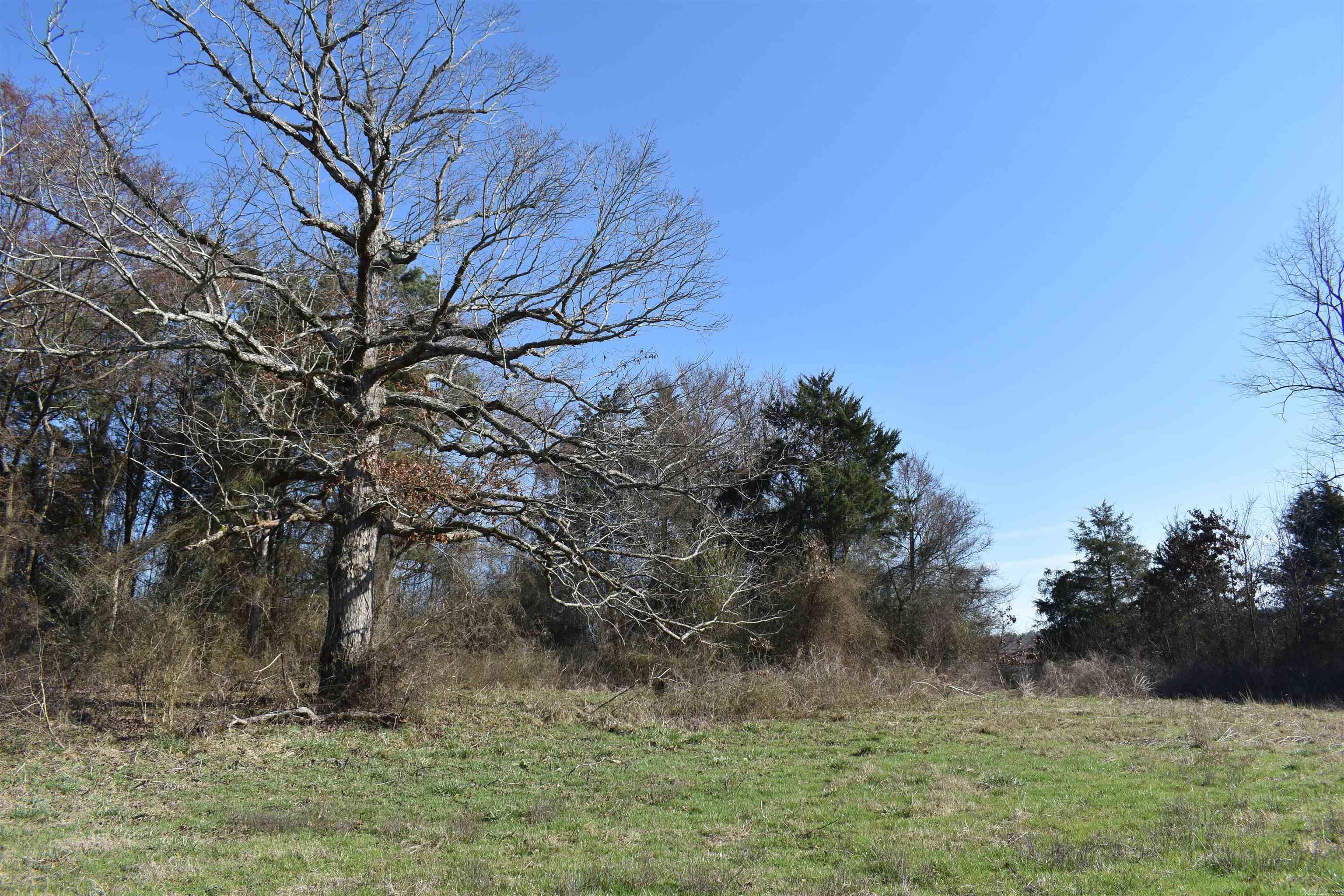 0000 HWY 248 E  Waldron, AR