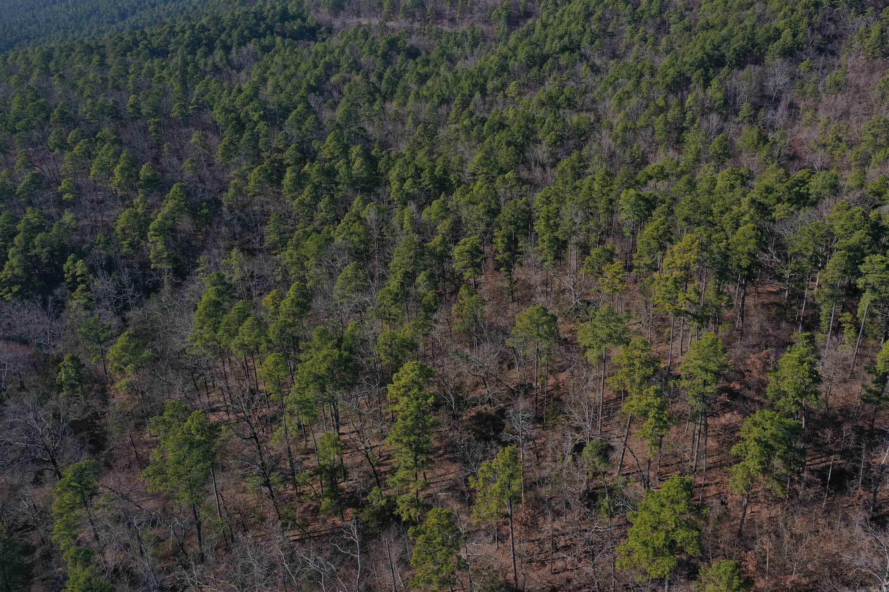 0000 HWY 248 E  Waldron, AR