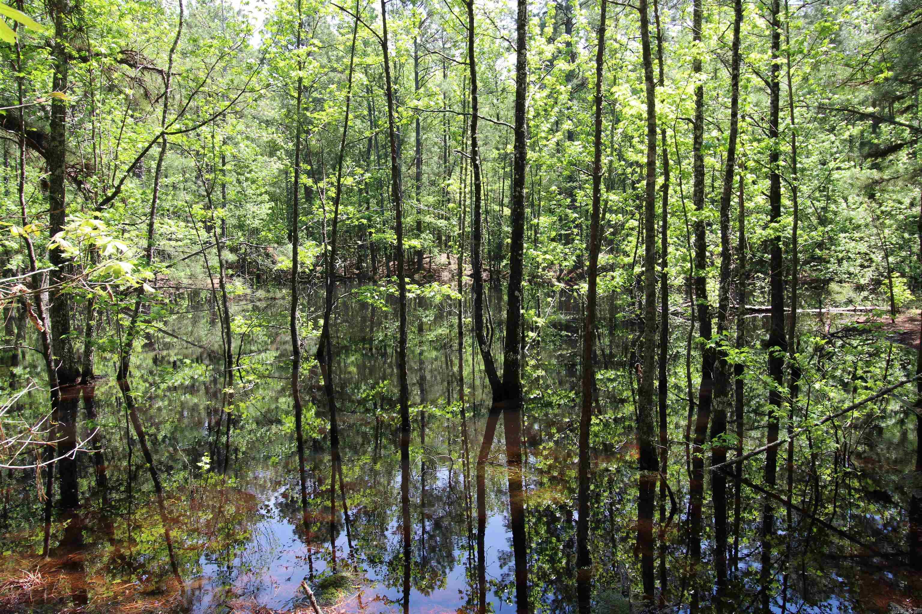 South Tract  Grant County Road 68  Sheridan, AR