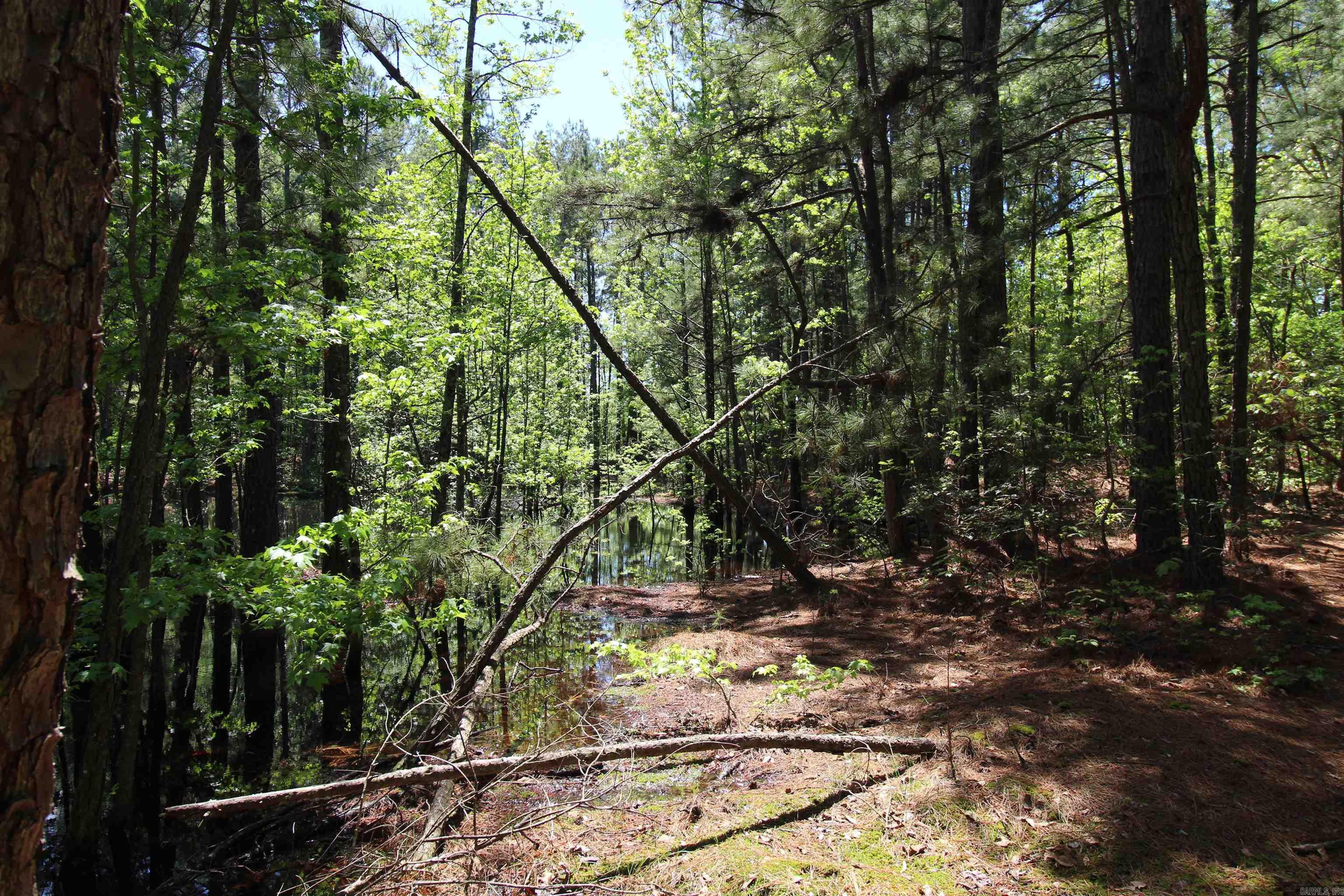 South Tract  Grant County Road 68  Sheridan, AR