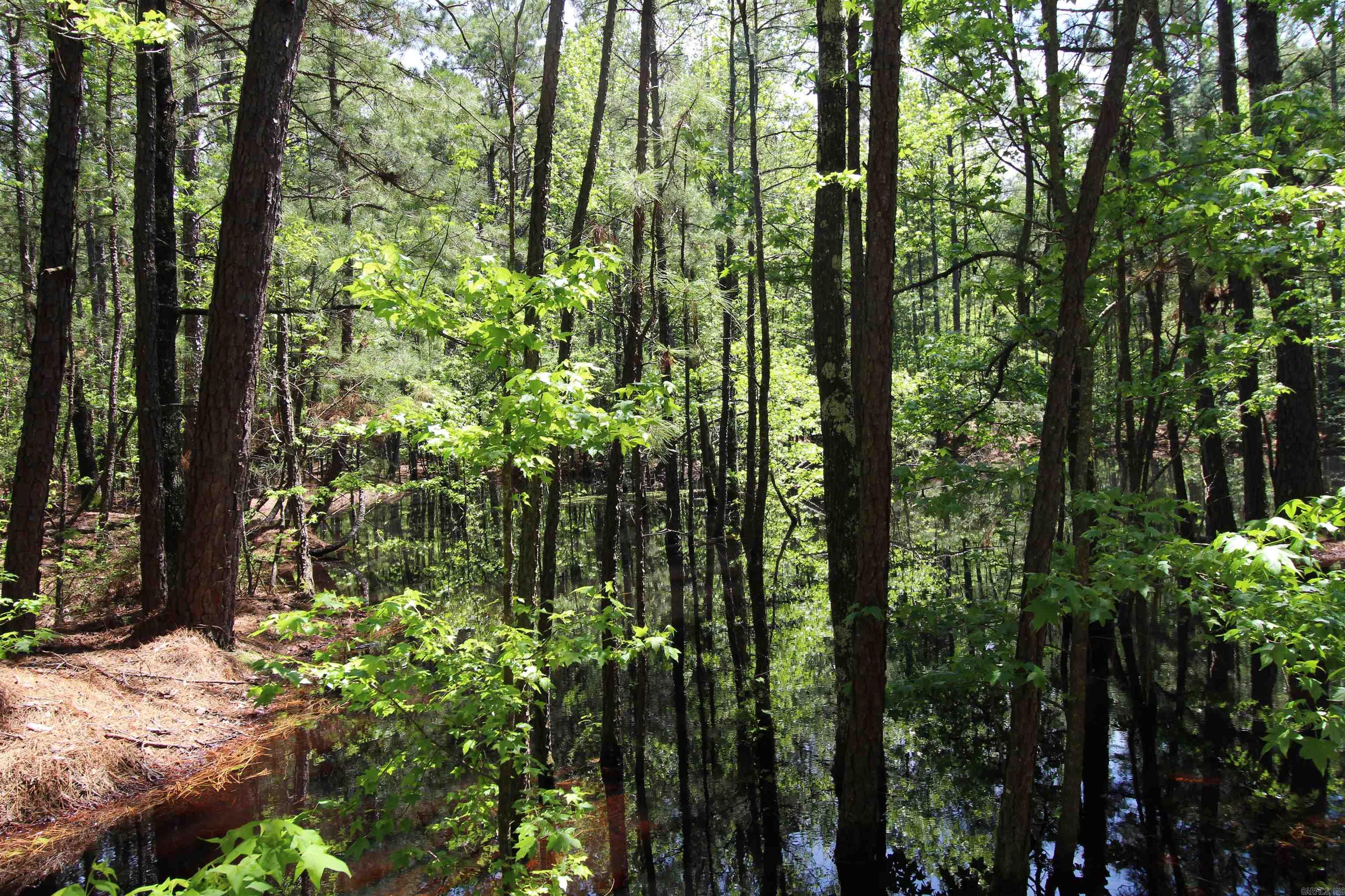 South Tract  Grant County Road 68  Sheridan, AR