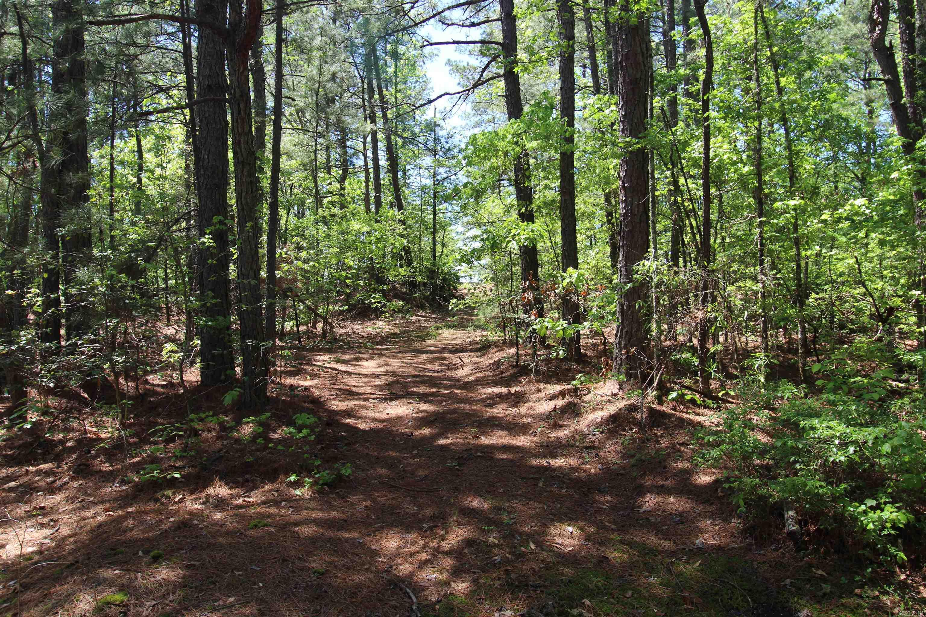South Tract  Grant County Road 68  Sheridan, AR