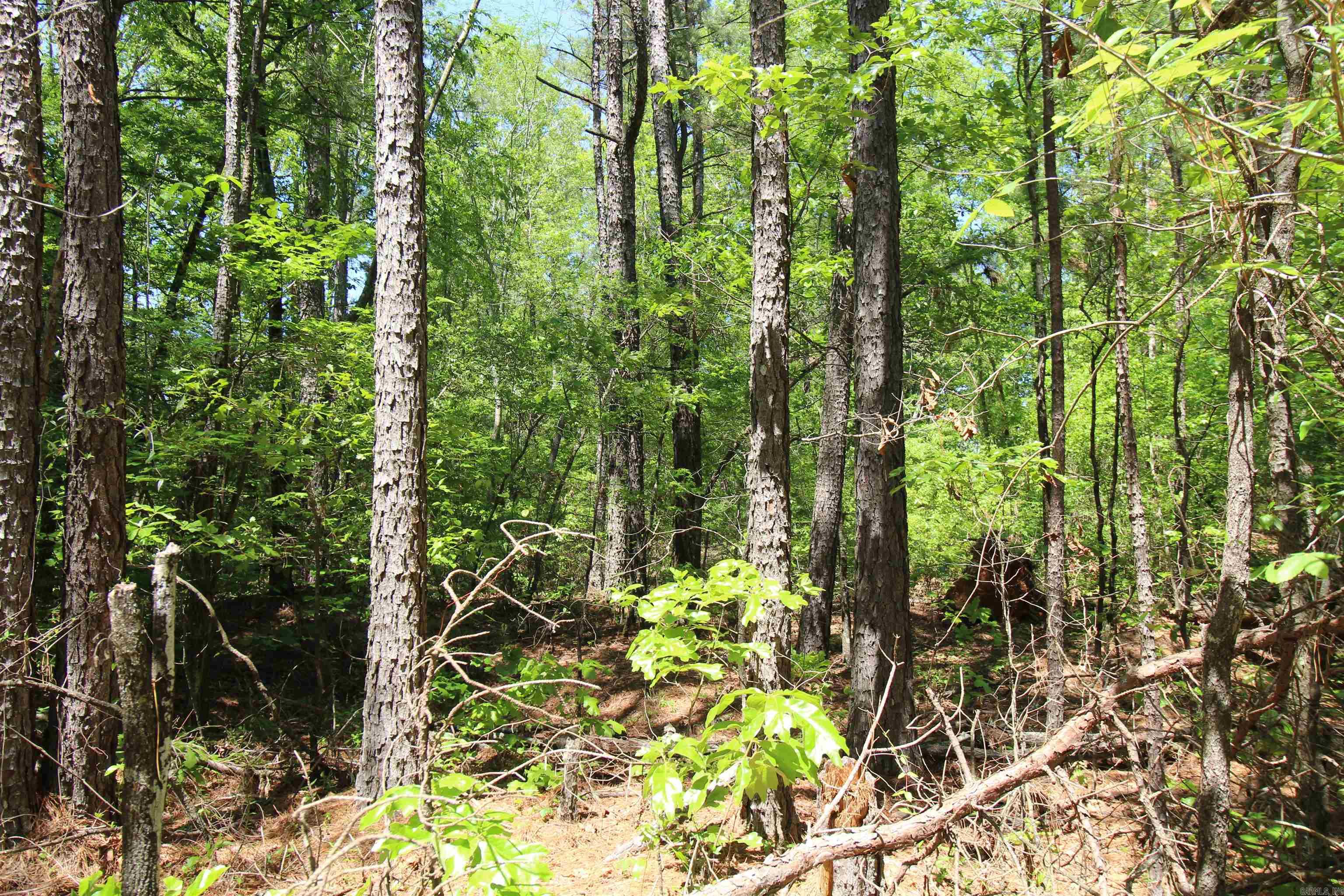 South Tract  Grant County Road 68  Sheridan, AR