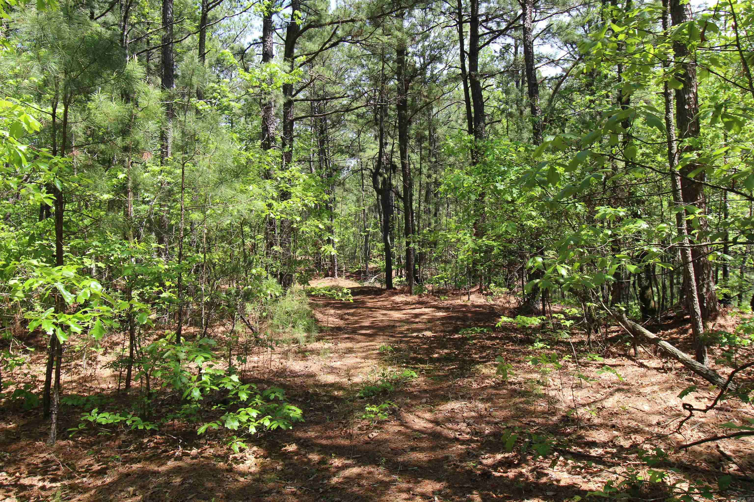 South Tract  Grant County Road 68  Sheridan, AR
