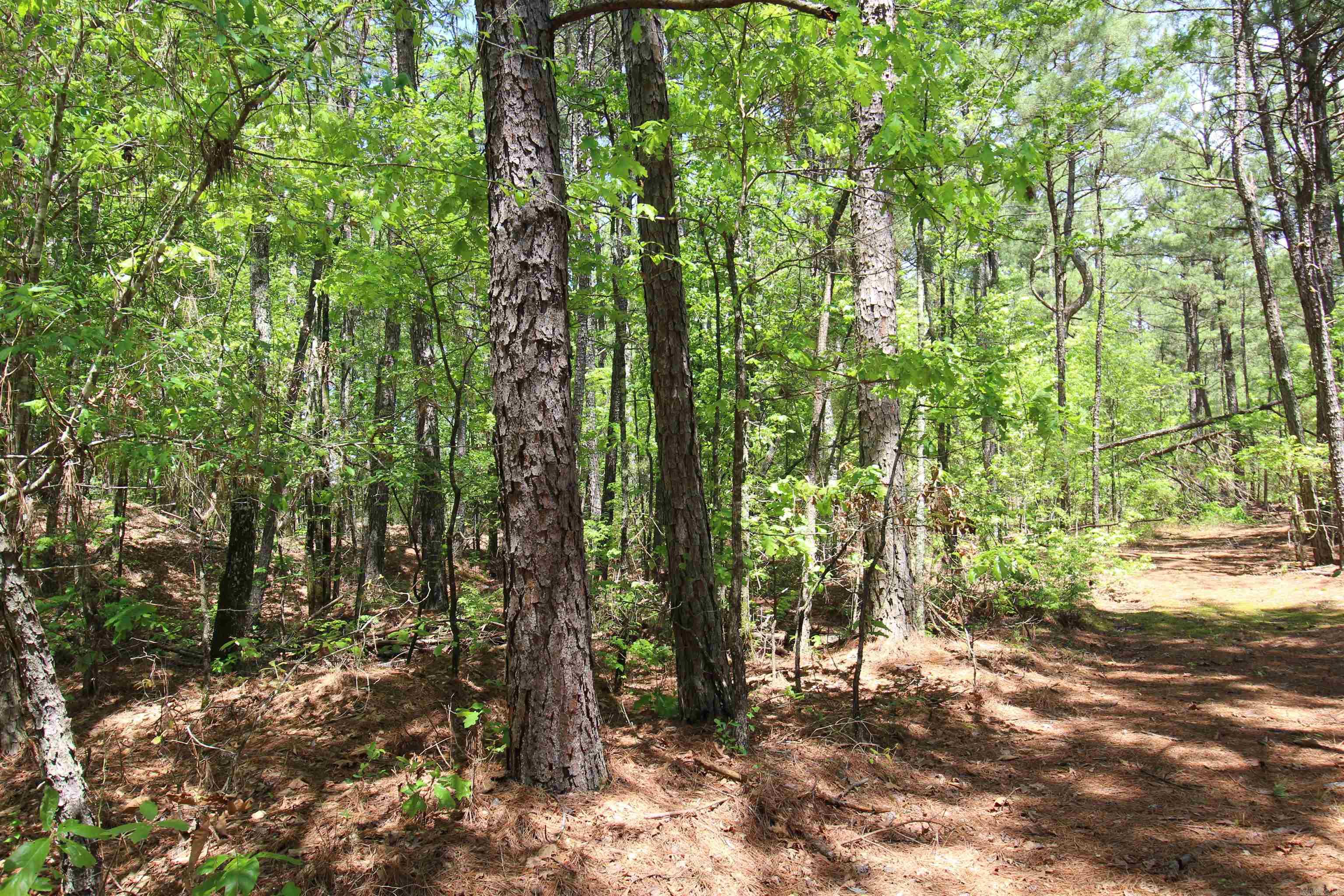 South Tract  Grant County Road 68  Sheridan, AR