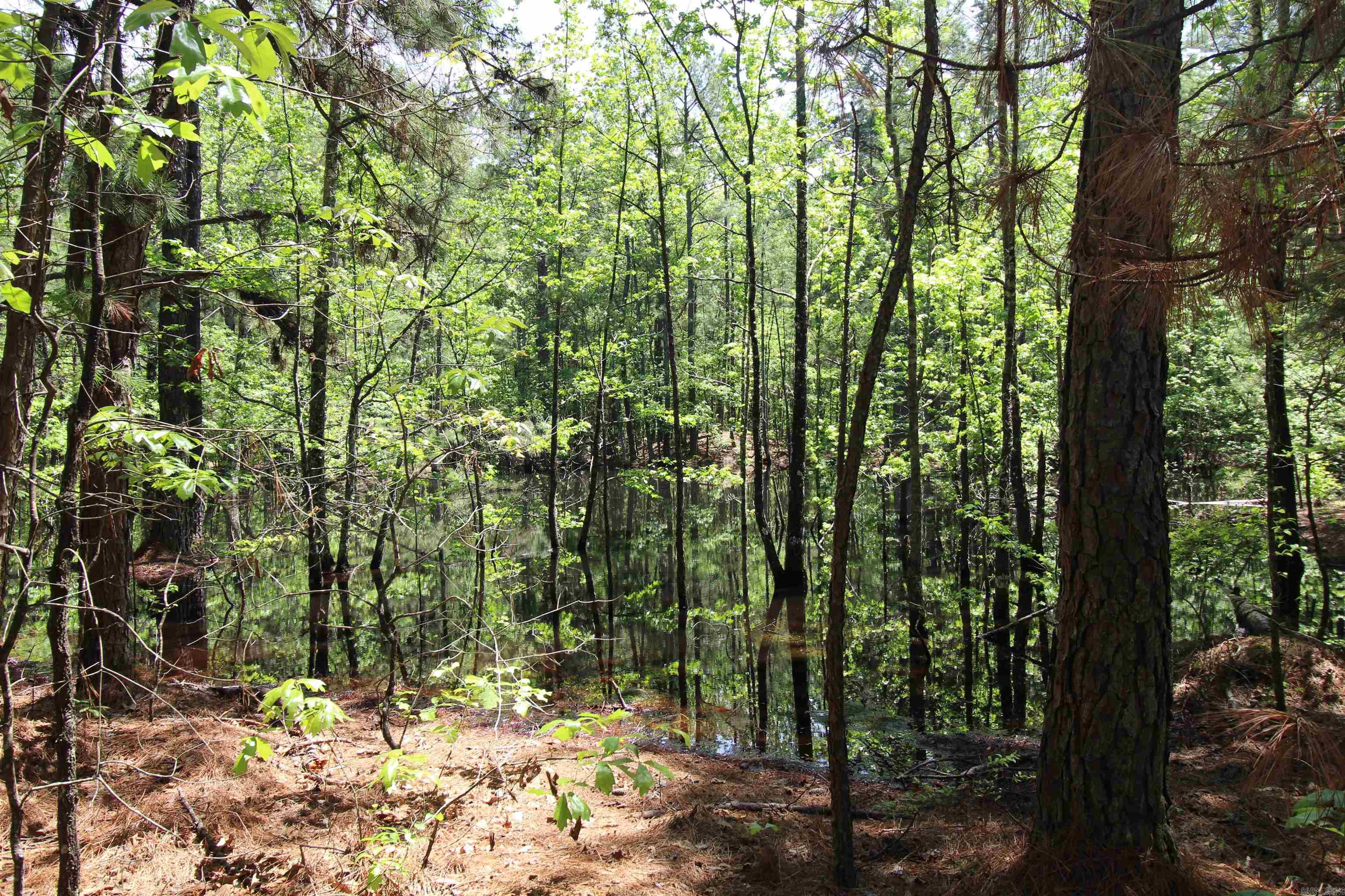 South Tract  Grant County Road 68  Sheridan, AR