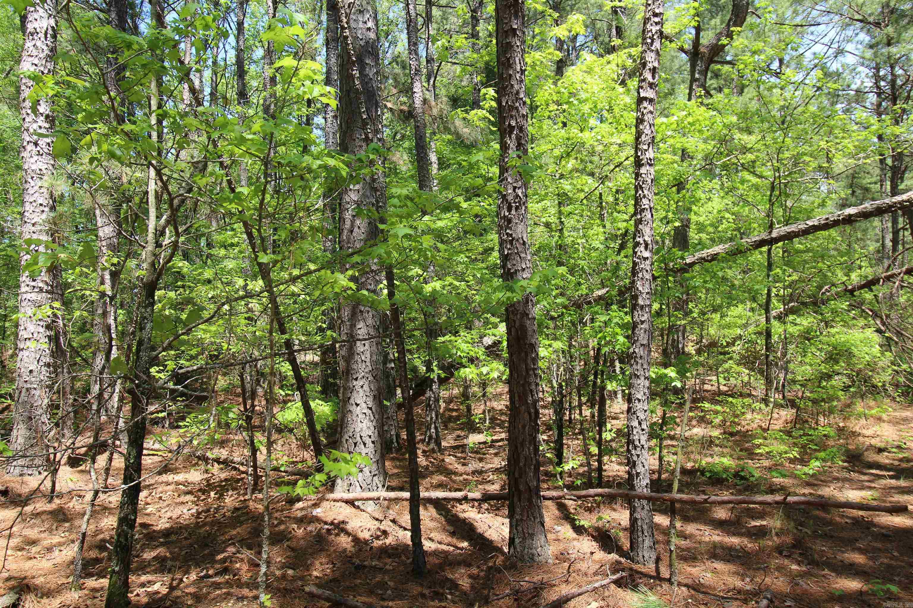 South Tract  Grant County Road 68  Sheridan, AR