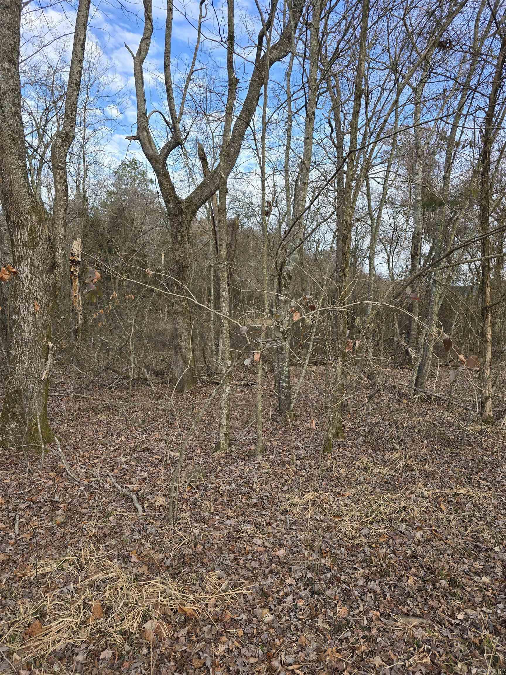 TBD  Polk Road 198  Mena, AR
