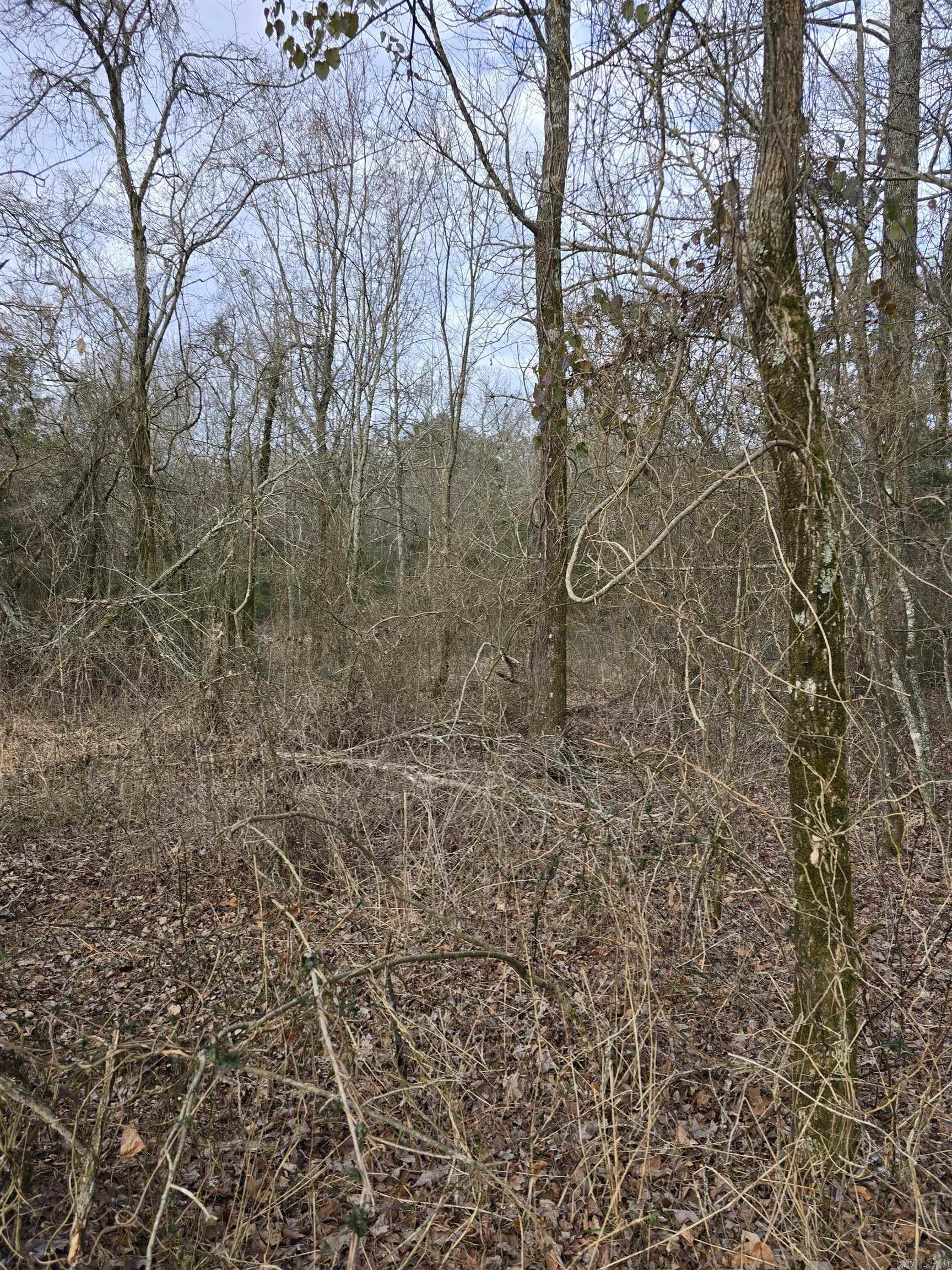 TBD  Polk Road 198  Mena, AR