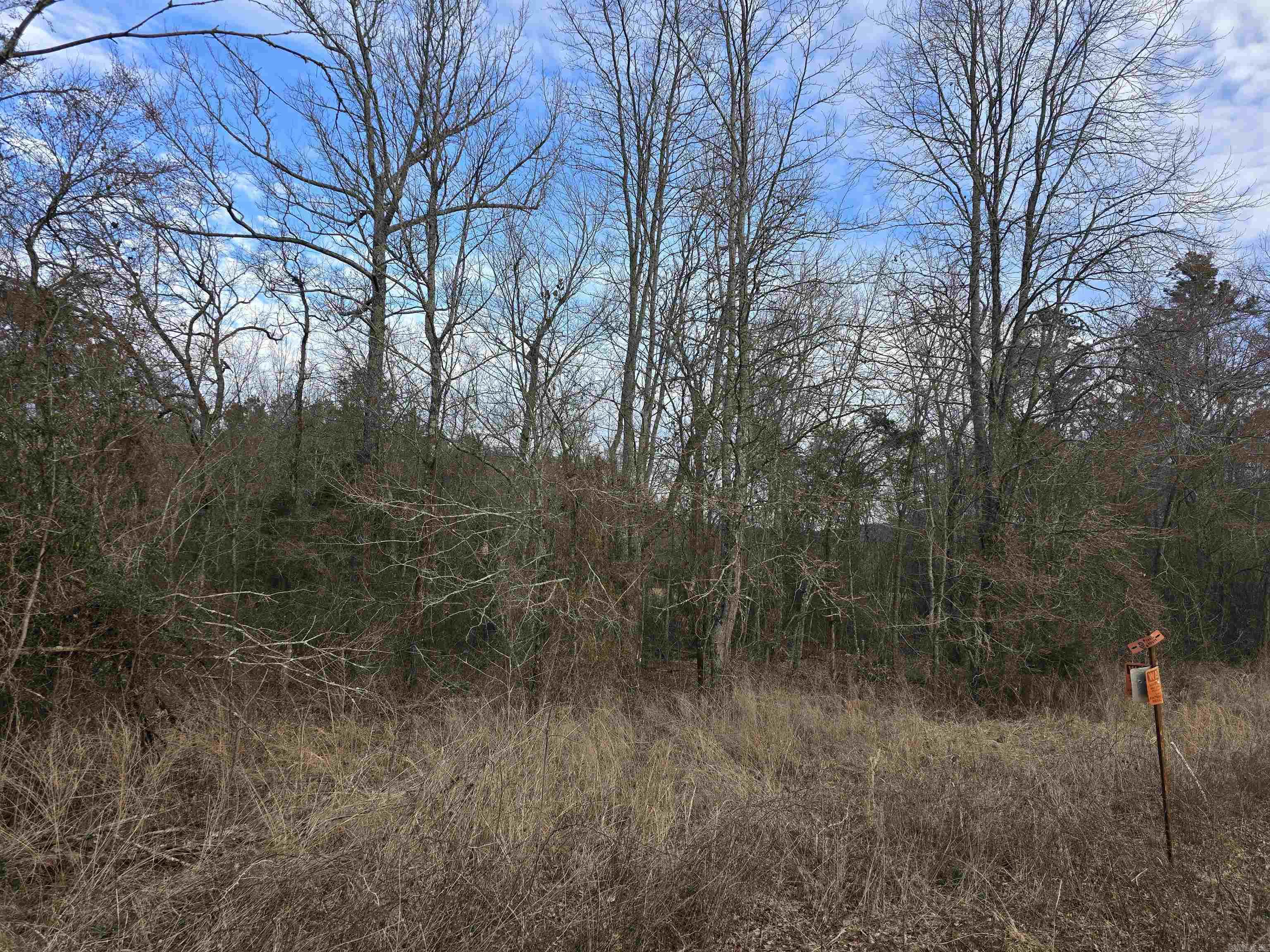 TBD  Polk Road 198  Mena, AR