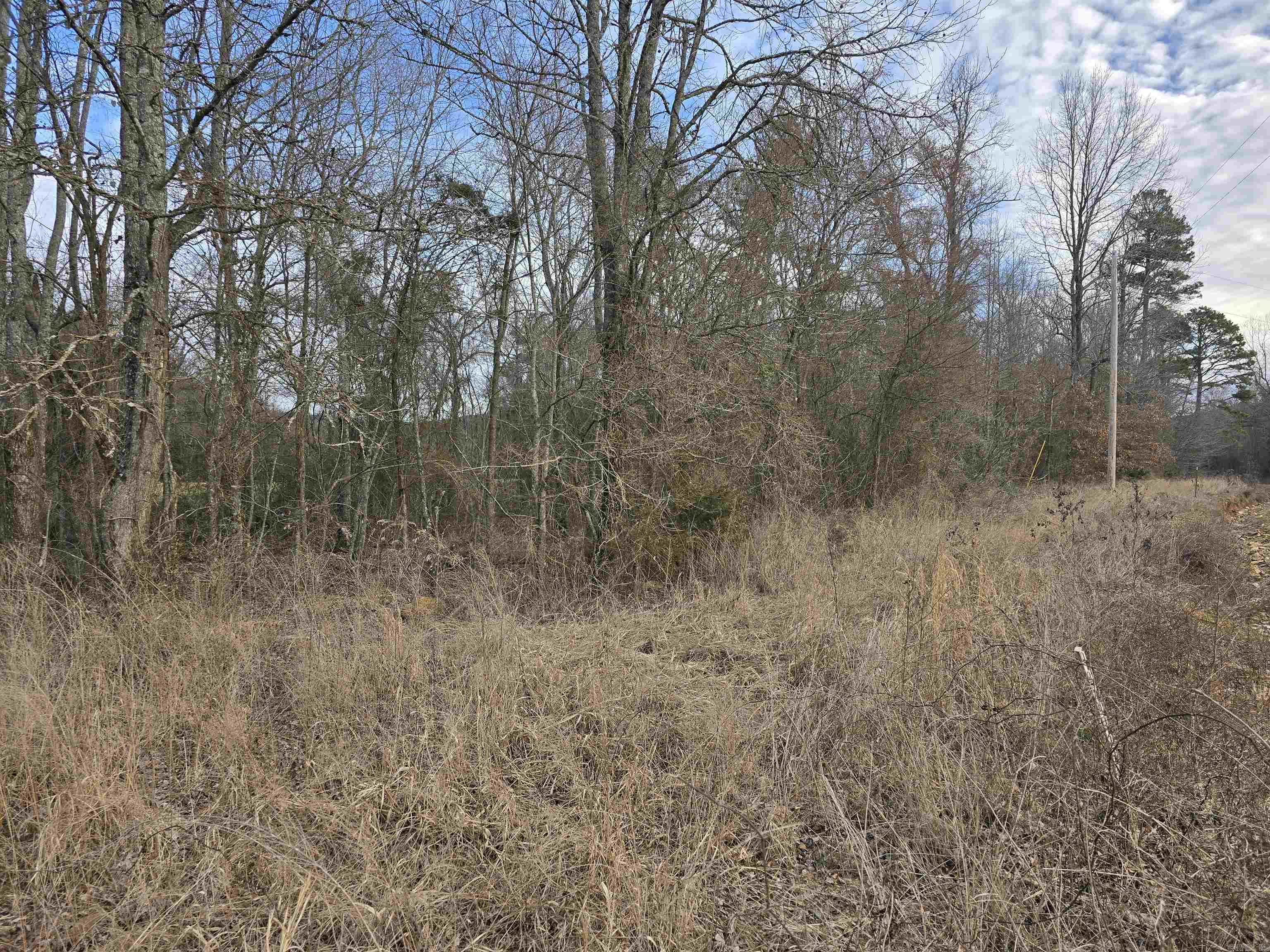 TBD  Polk Road 198  Mena, AR