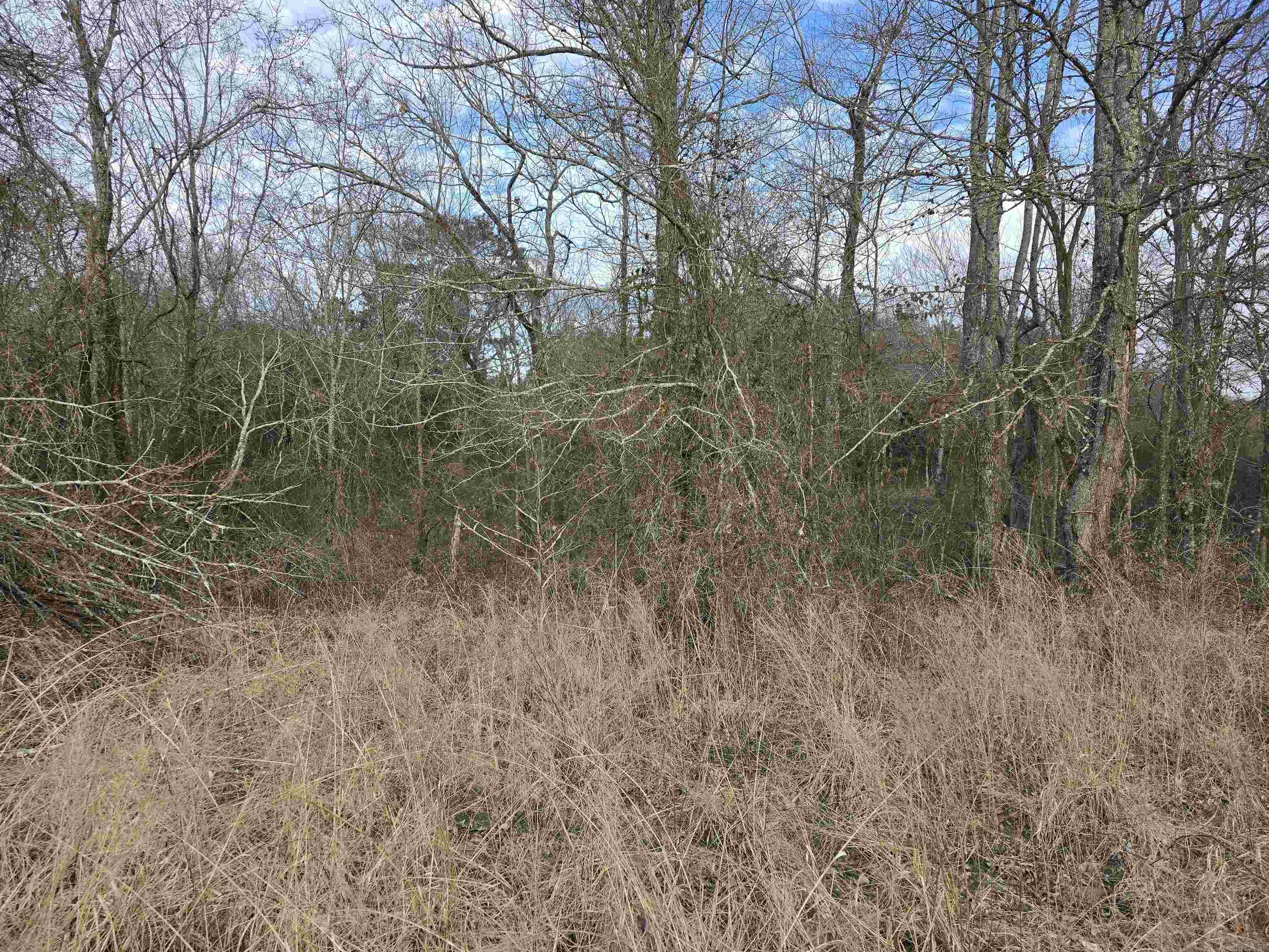 TBD  Polk Road 198  Mena, AR