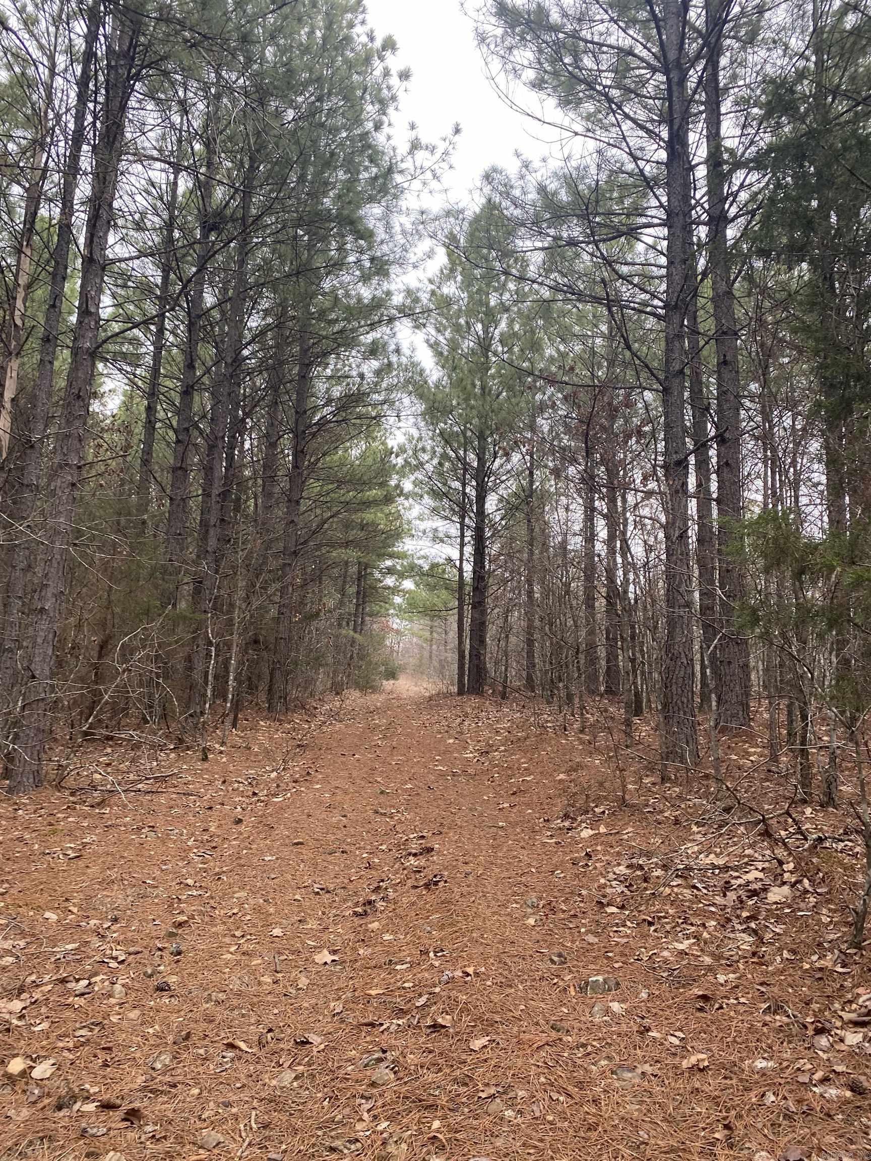 000  Arrowhead  Morrilton, AR