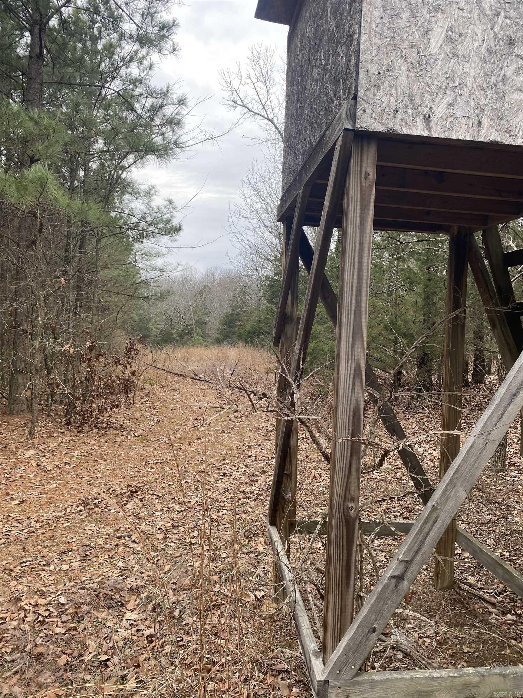 000  Arrowhead  Morrilton, AR