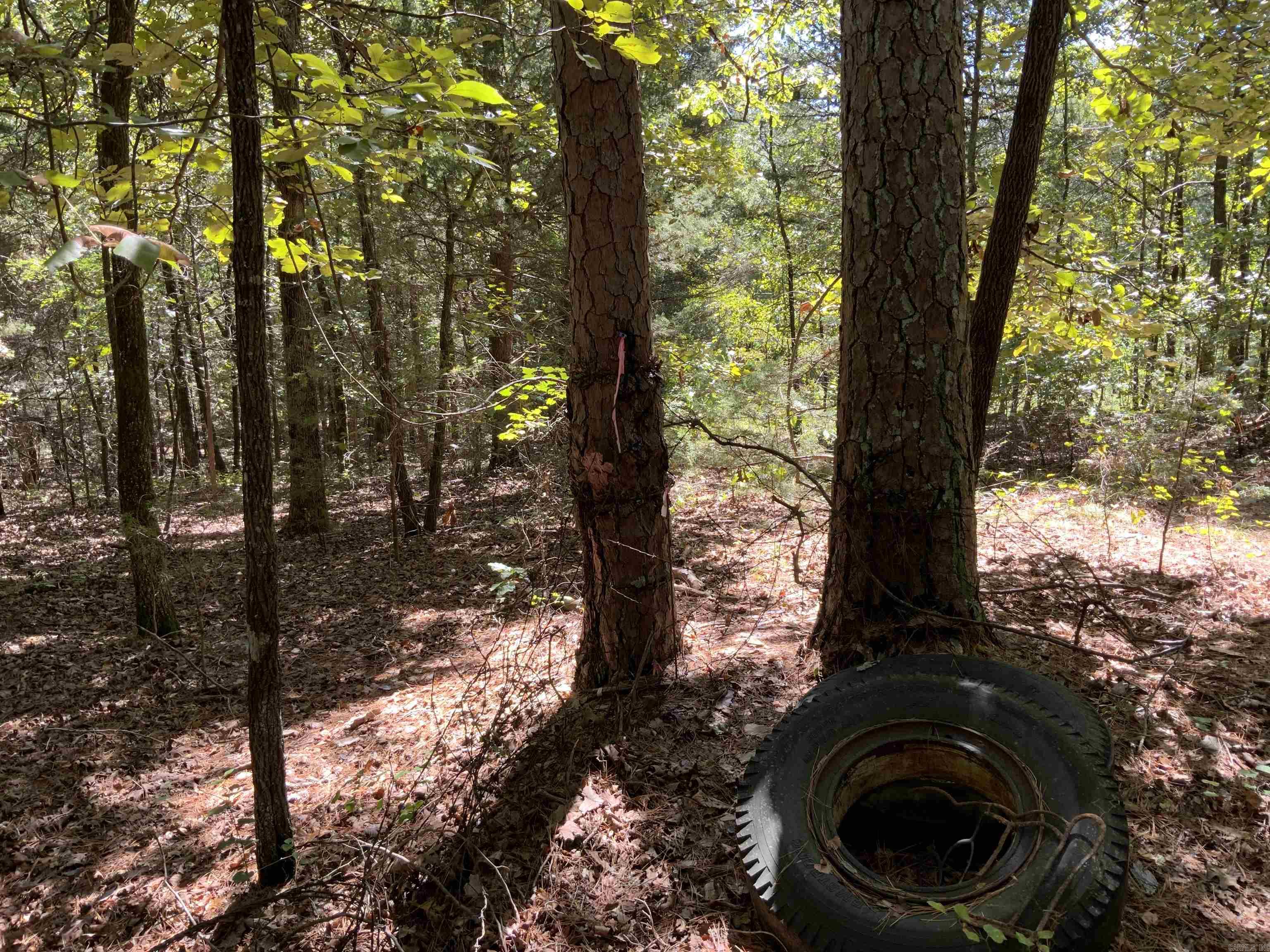 999 N Scenic  Heber Springs, AR