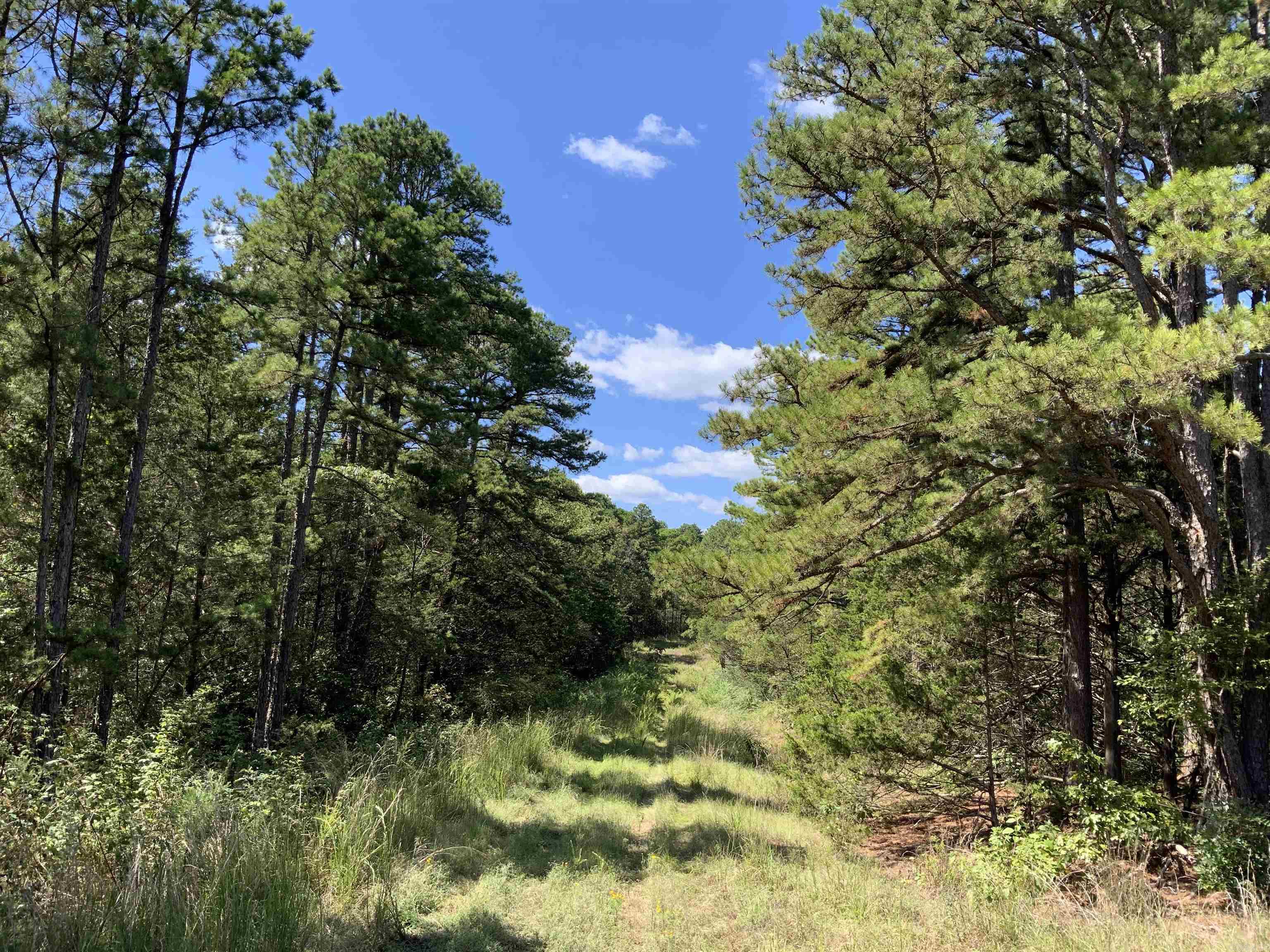 999 N Scenic  Heber Springs, AR