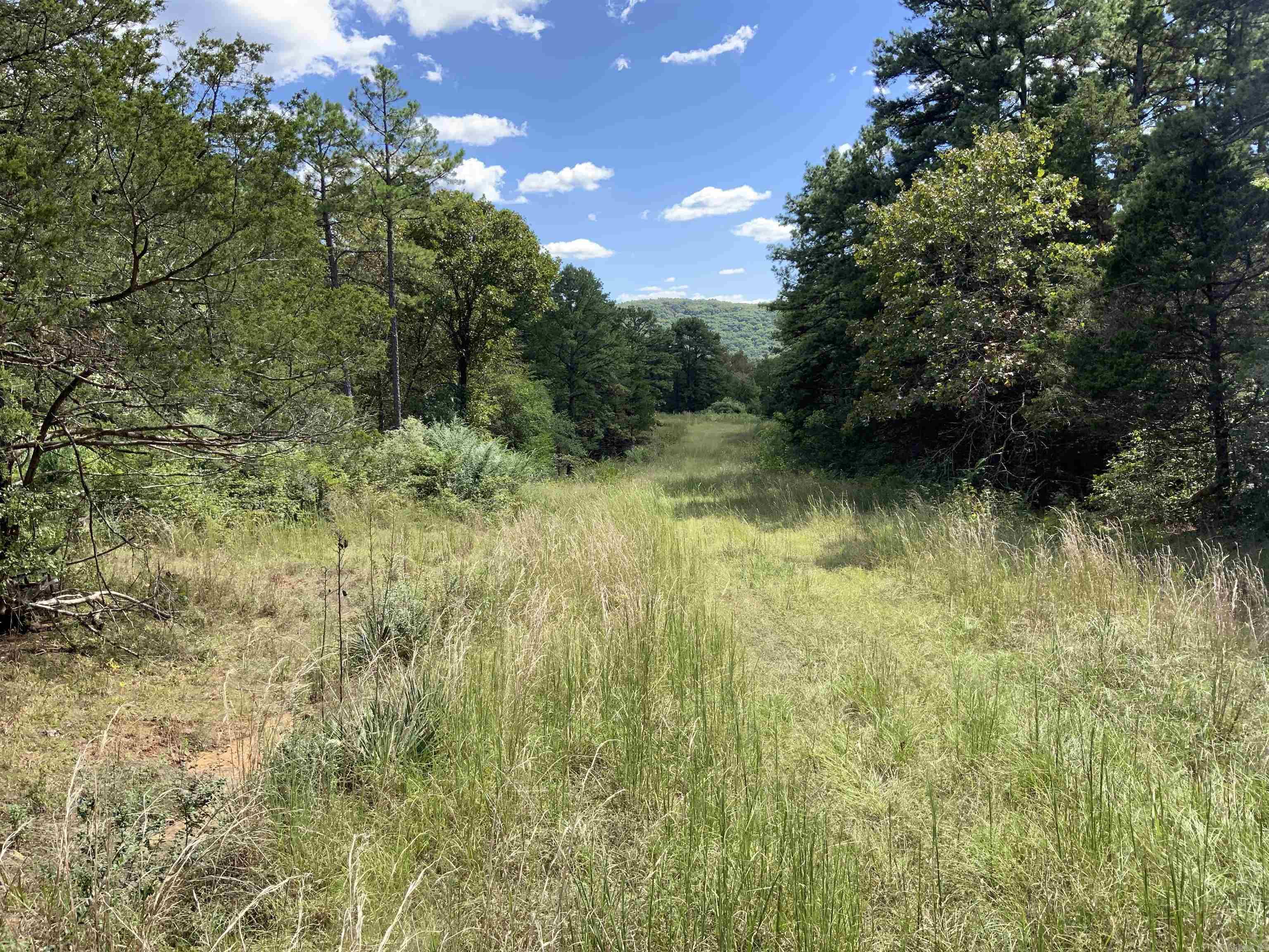 999 N Scenic  Heber Springs, AR