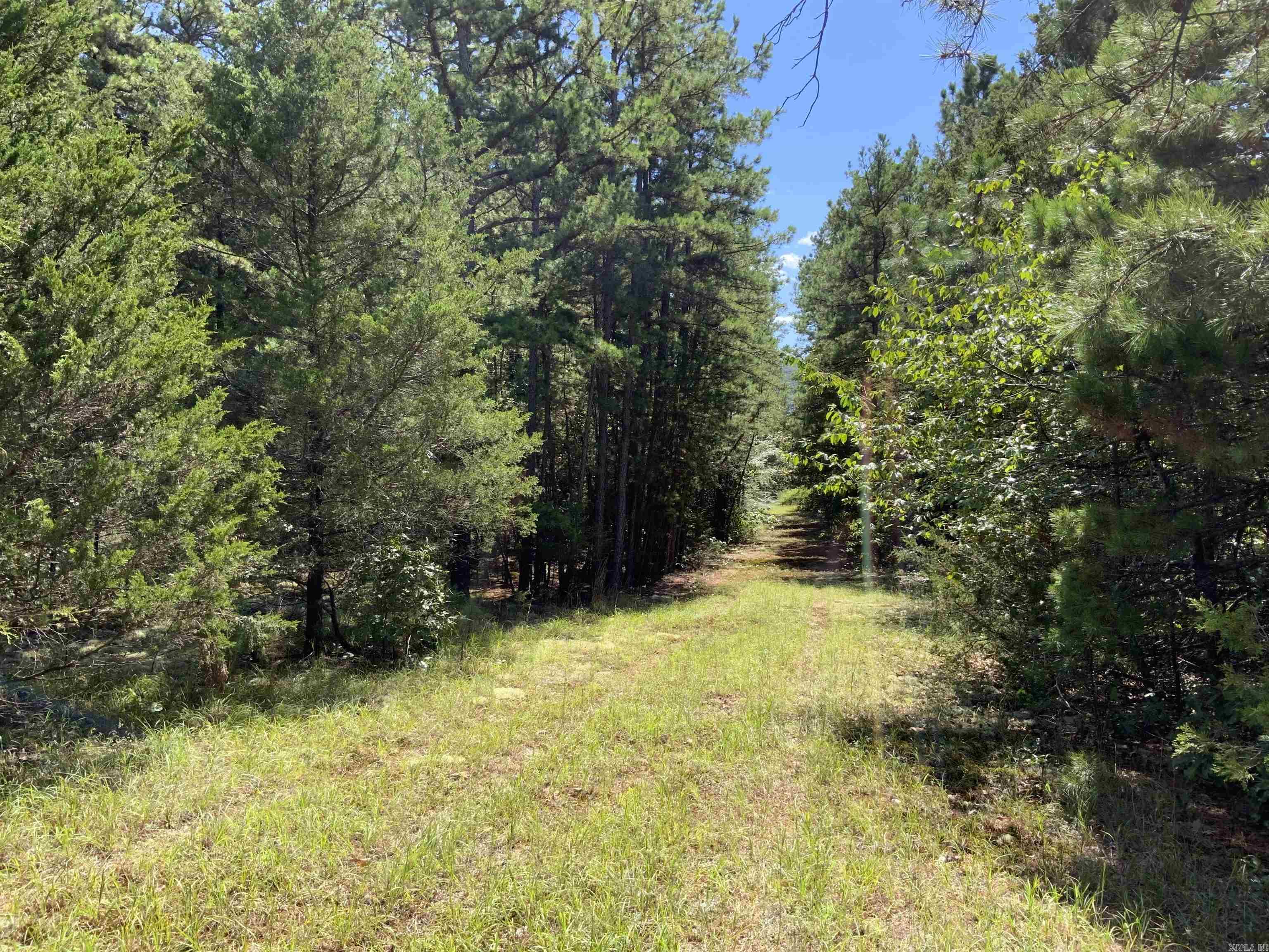 999 N Scenic  Heber Springs, AR