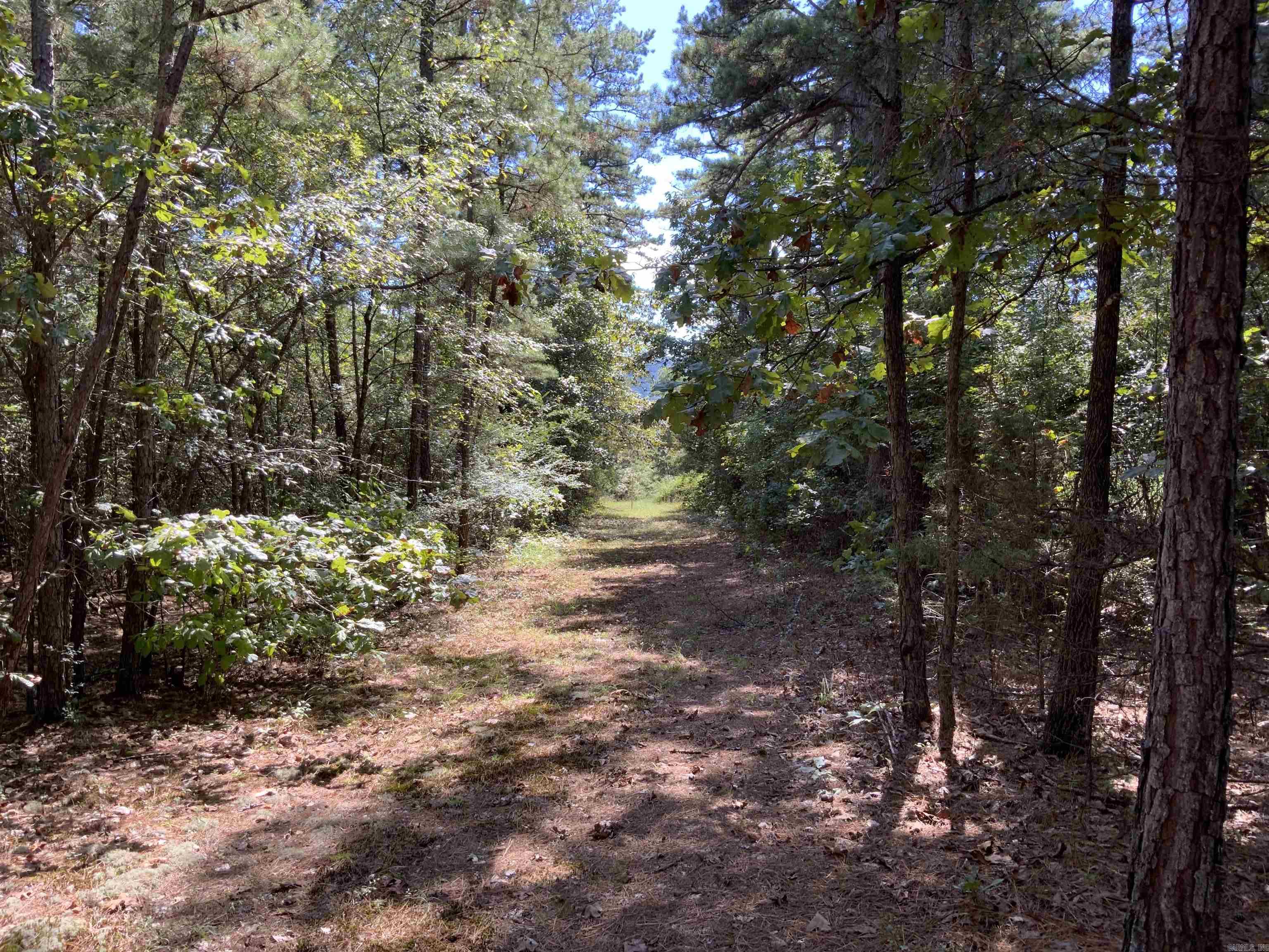 999 N Scenic  Heber Springs, AR