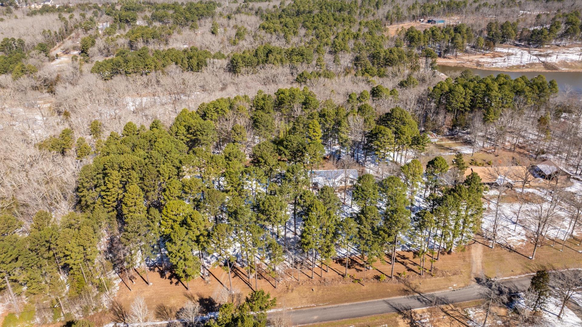 11  Sharon  Conway, AR