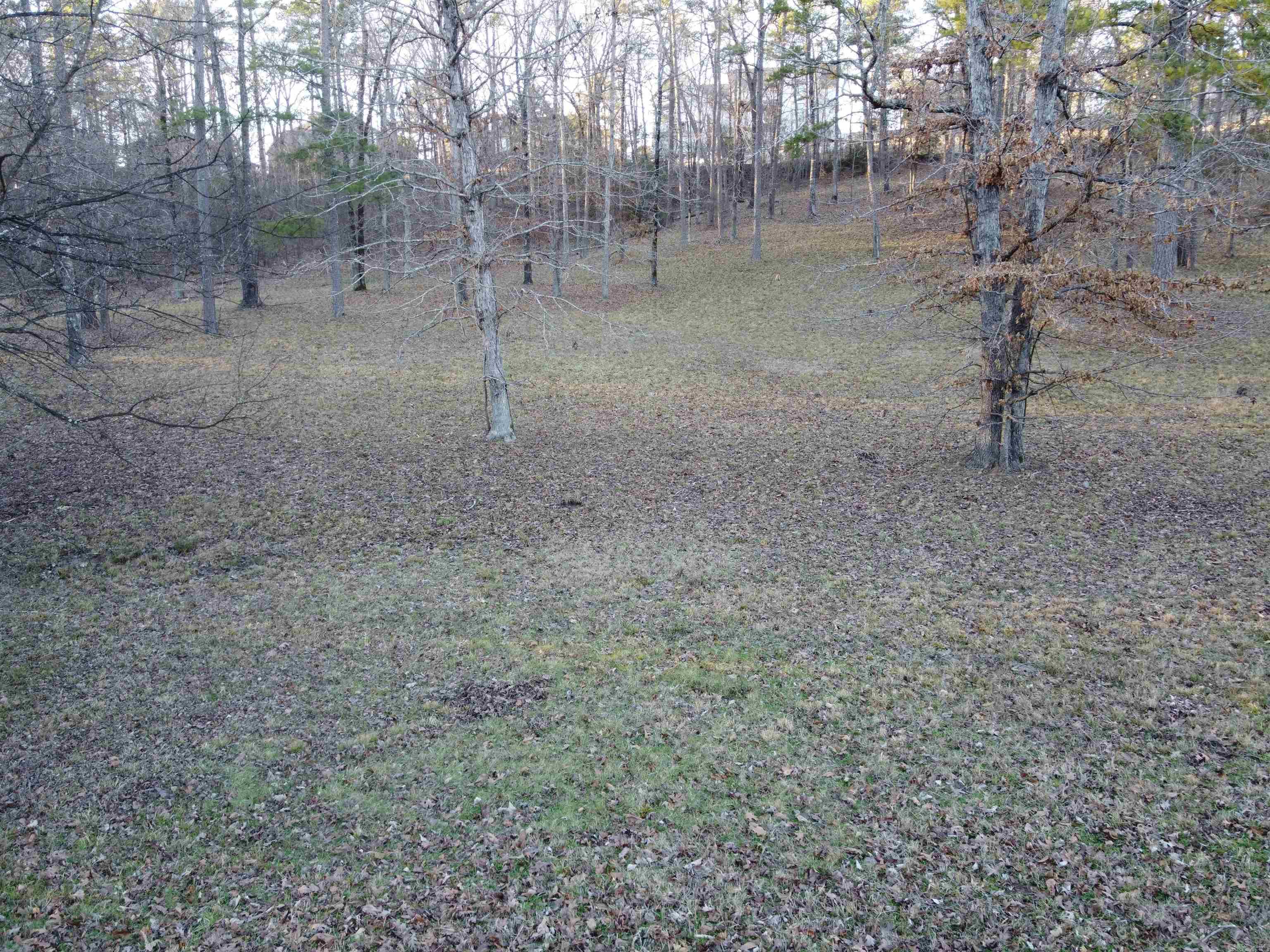 Lot 54  Lake Forest Shores  Hot Springs, AR