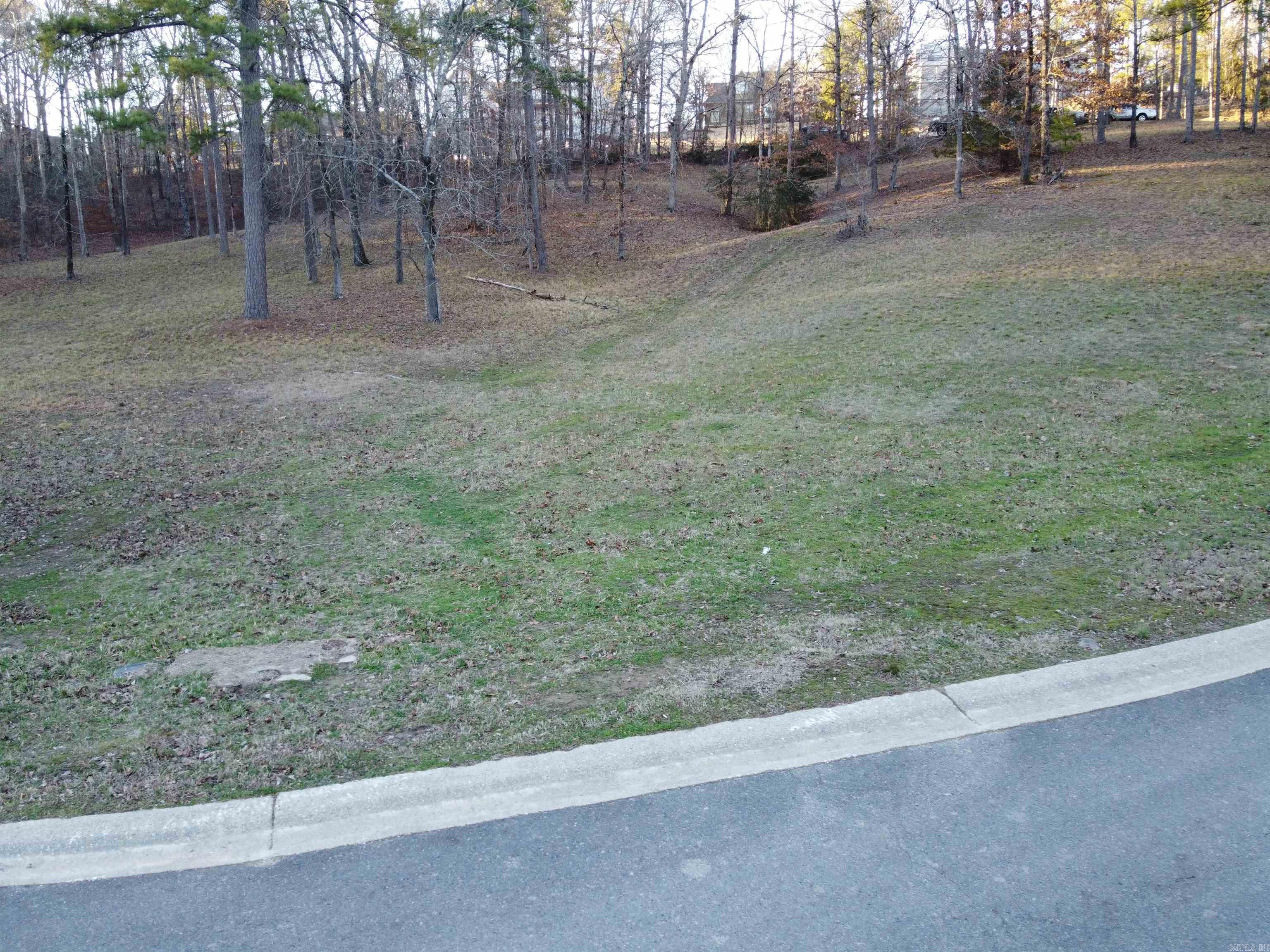Lot 54  Lake Forest Shores  Hot Springs, AR