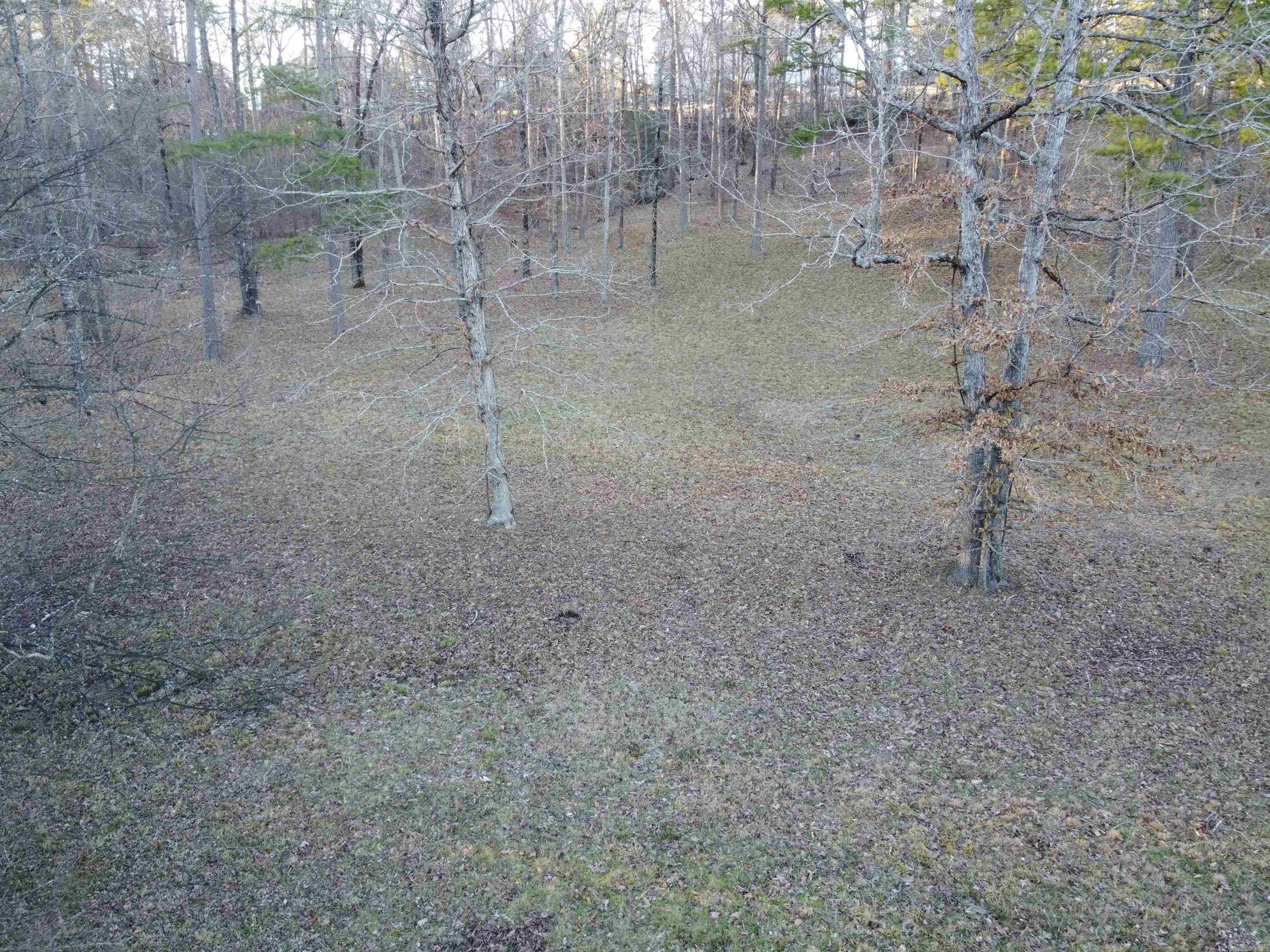 Lot 50  Lake Forest Shores  Hot Springs, AR