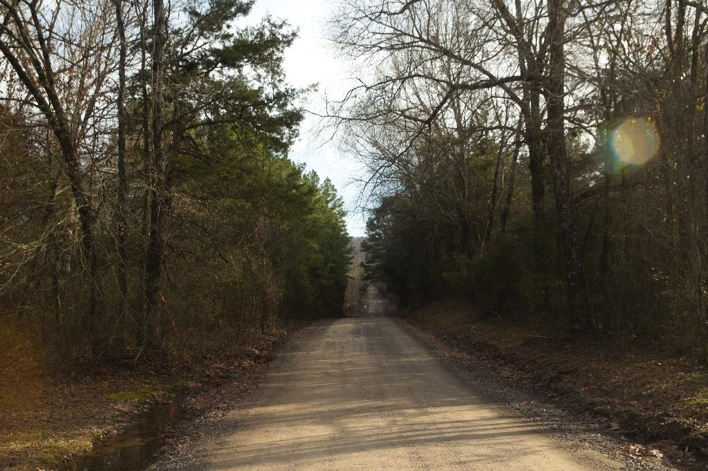 831  Kristofik  Bigelow, AR