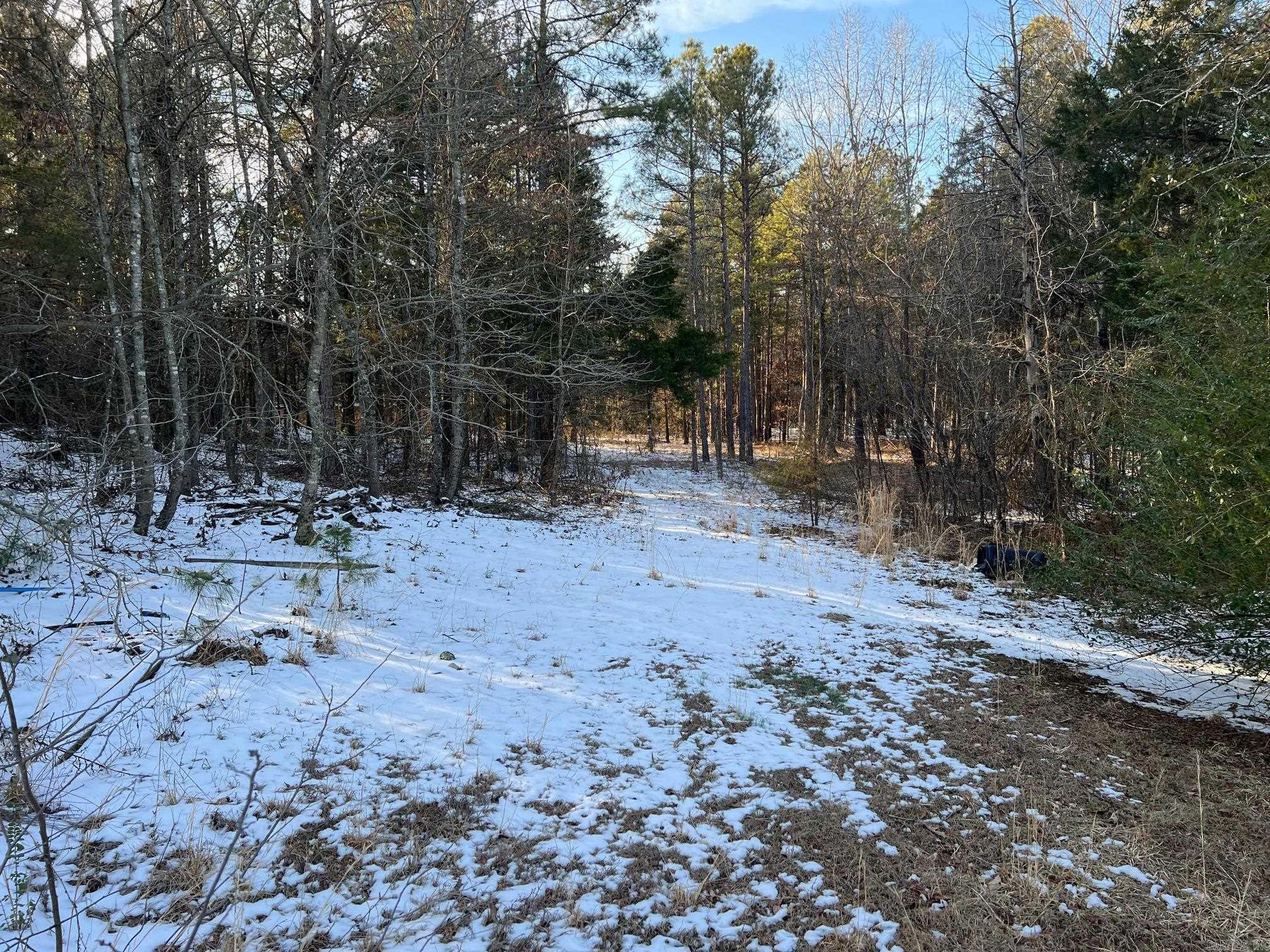 23  Bear Circle  Center Ridge, AR