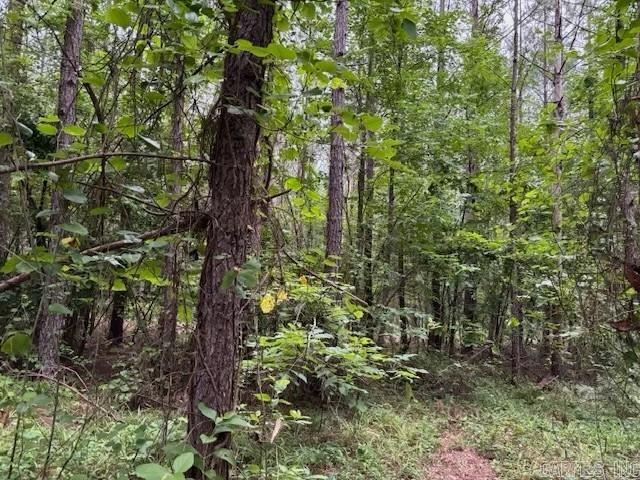   hwy 128  Lonsdale, AR