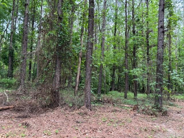   hwy 128  Lonsdale, AR