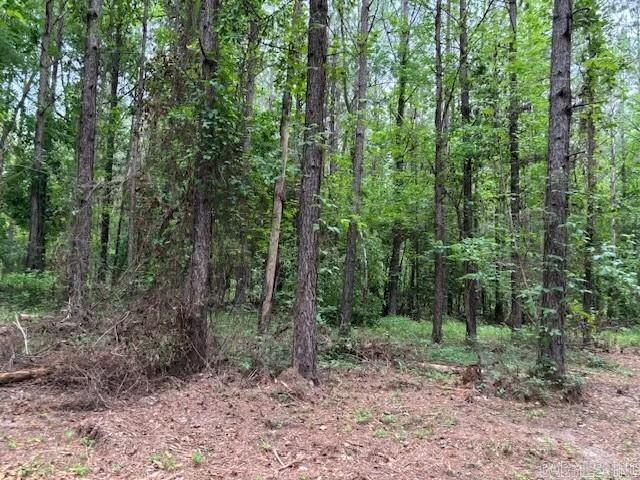   hwy 128  Lonsdale, AR