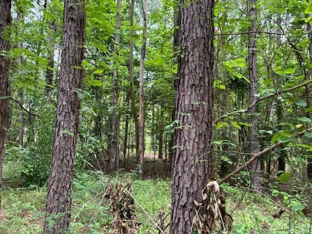   hwy 128  Lonsdale, AR