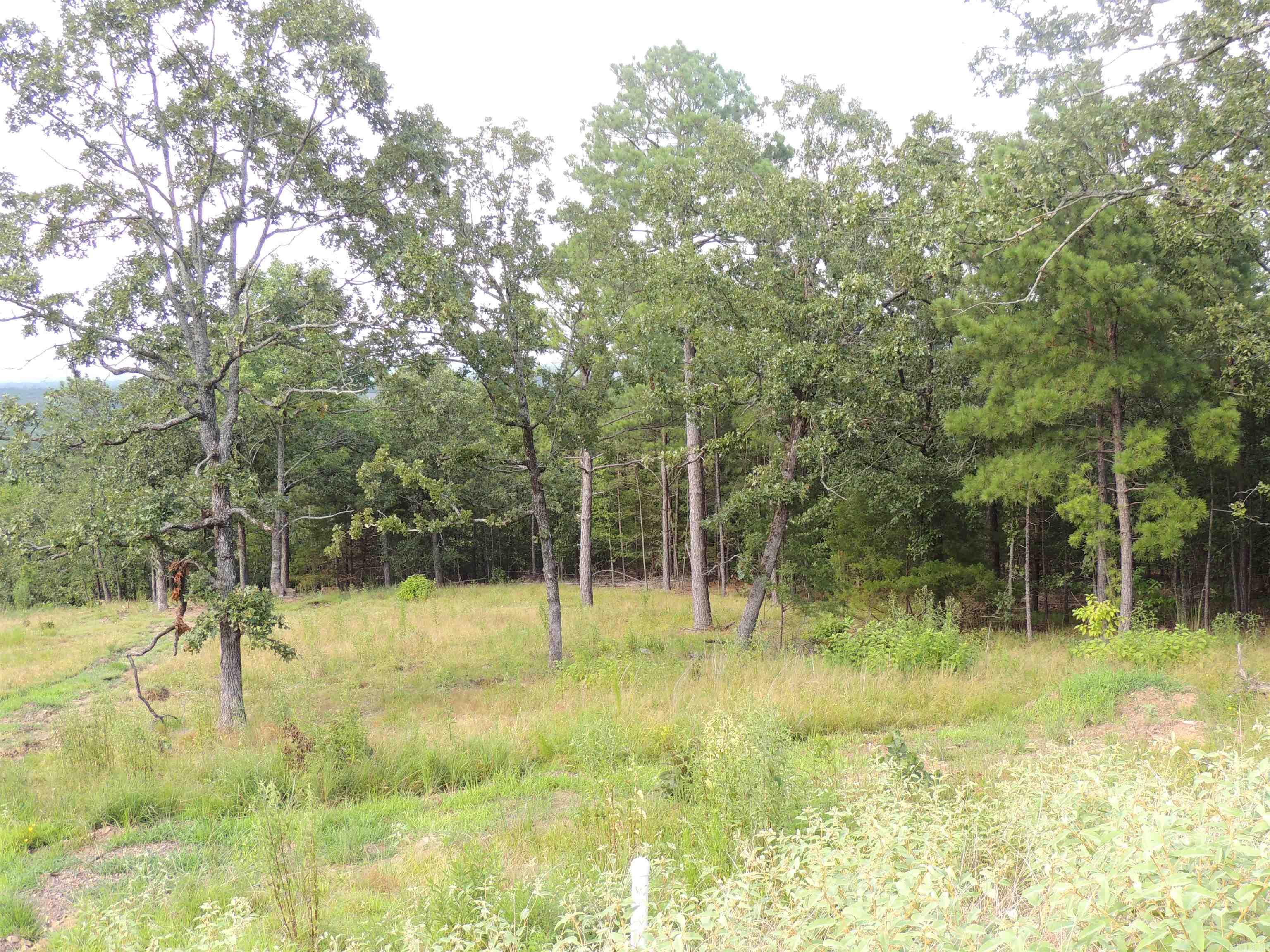 Lot 85  Summit View Lane  Maumelle, AR