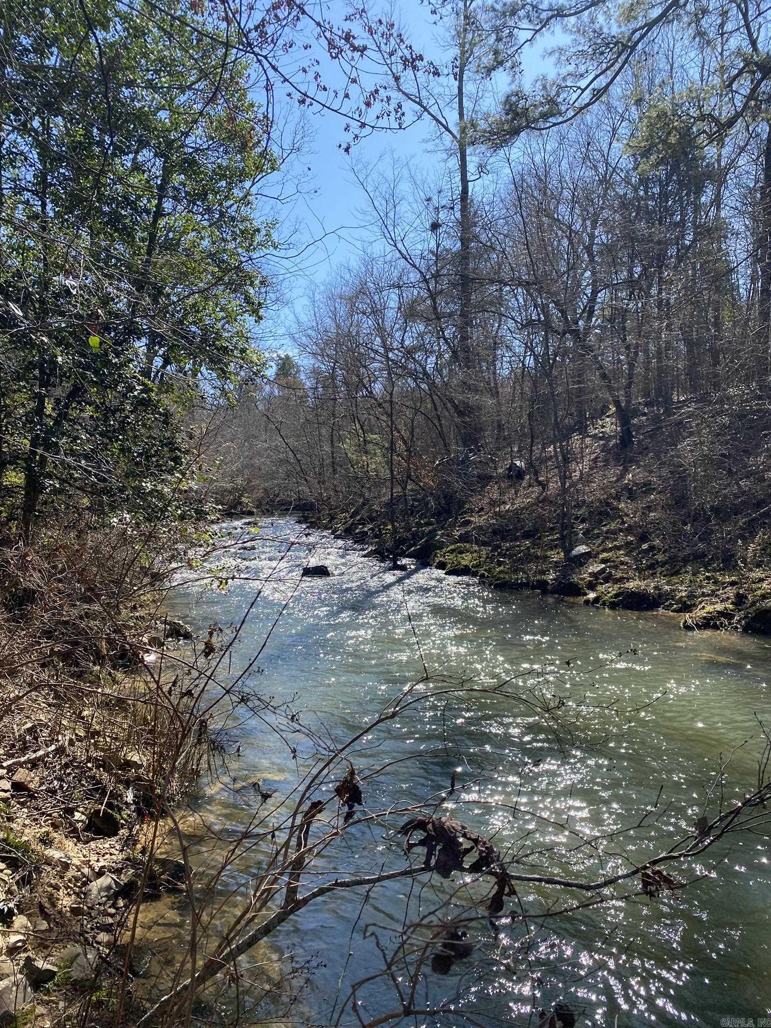 Tract S  Polk Road 31  Cove, AR