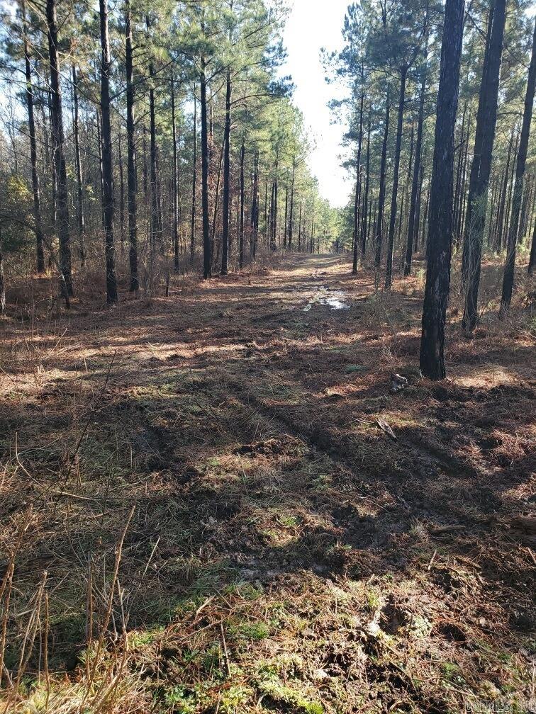 Tract S  Polk Road 31  Cove, AR