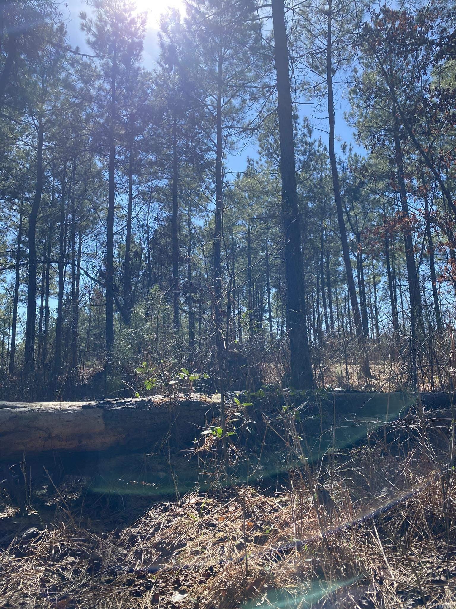 Tract S  Polk Road 31  Cove, AR
