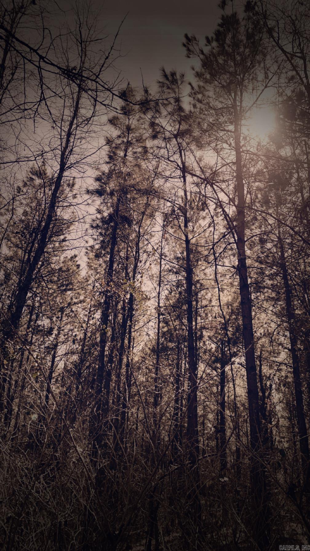 Tract S  Polk Road 31  Cove, AR