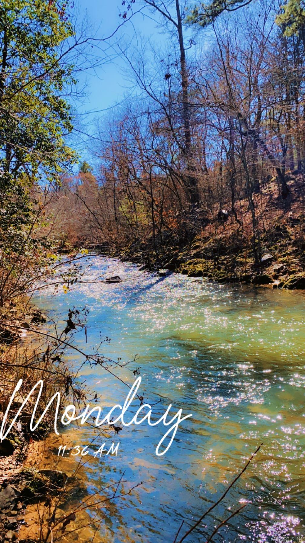 Tract S  Polk Road 31  Cove, AR