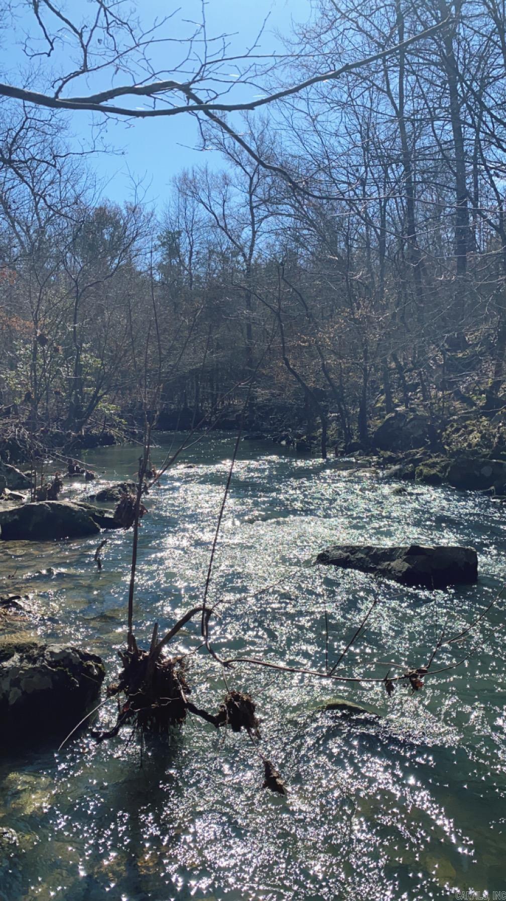 Tract S  Polk Road 31  Cove, AR